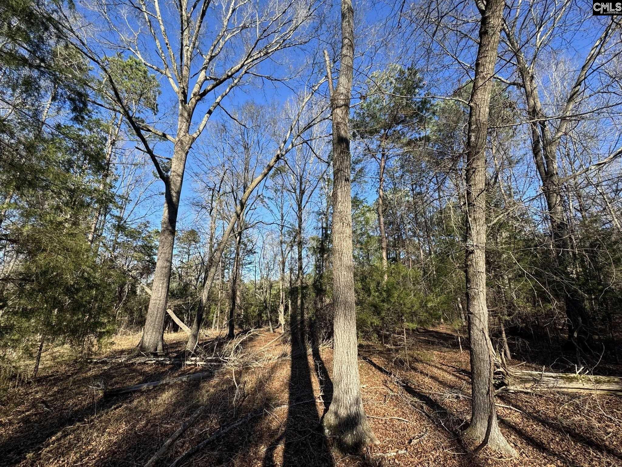 Hwy 252 Laurens, SC 29360