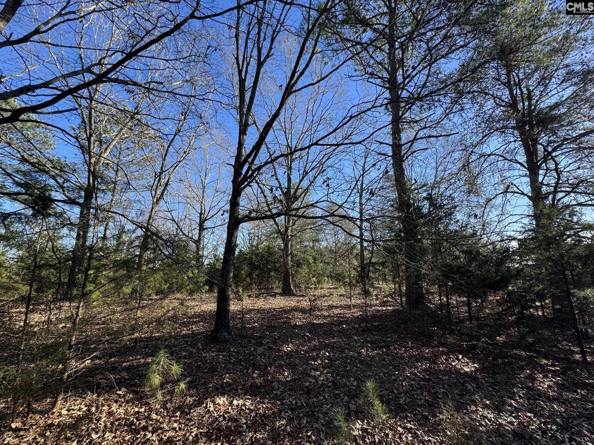 Hwy 252 Laurens, SC 29360