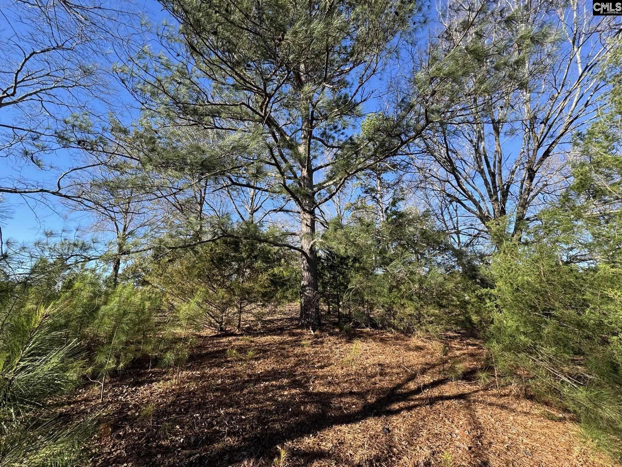 Hwy 252 Laurens, SC 29360
