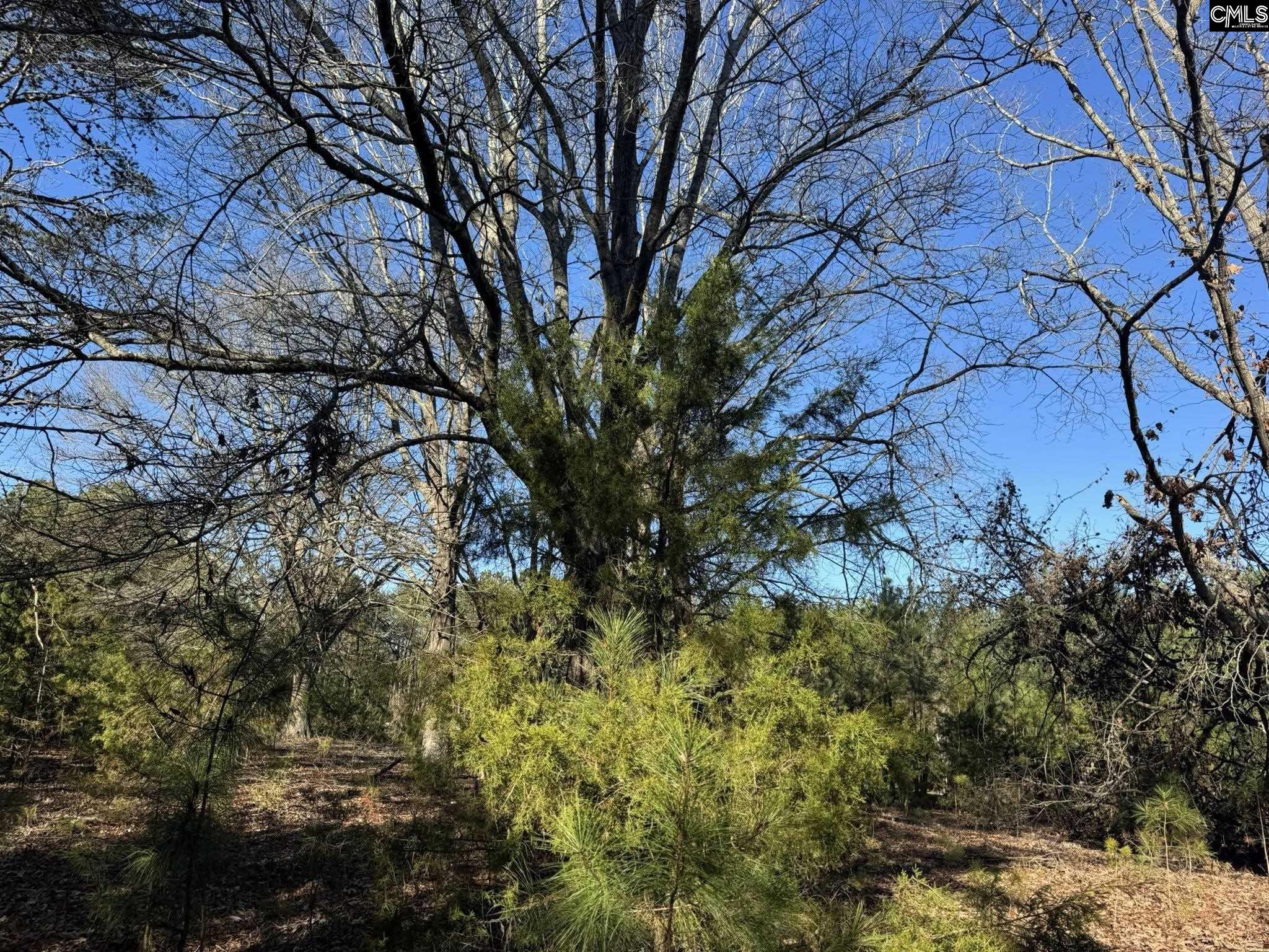 Hwy 252 Laurens, SC 29360