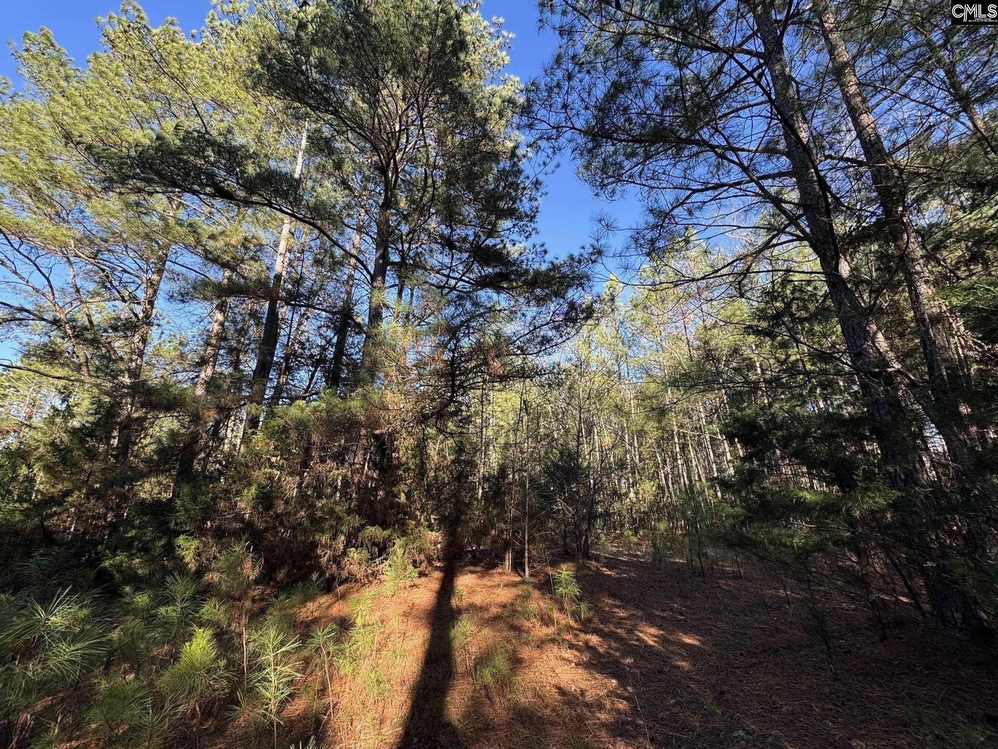 Hwy 252 Laurens, SC 29360