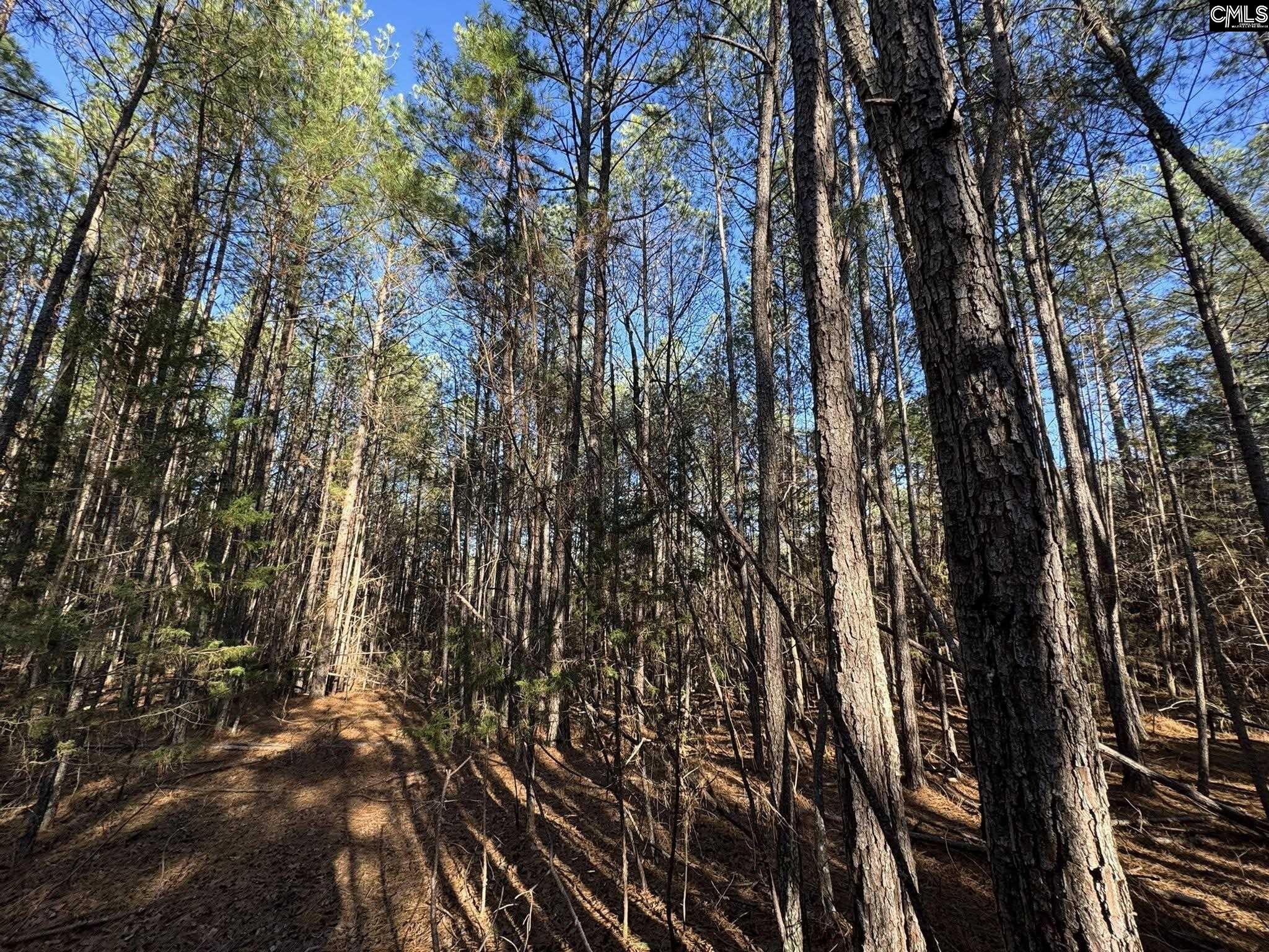 Hwy 252 Laurens, SC 29360