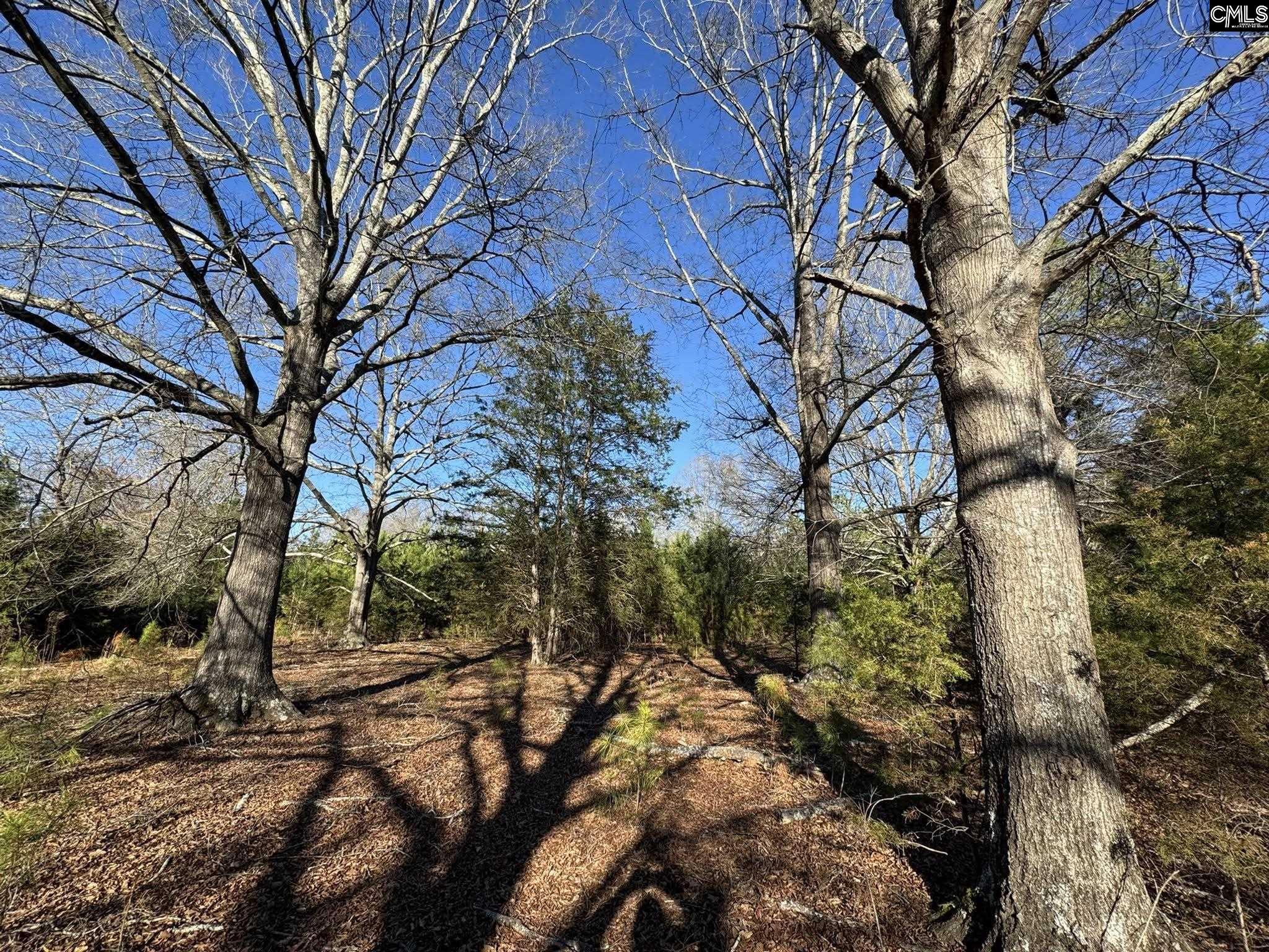 Hwy 252 Laurens, SC 29360