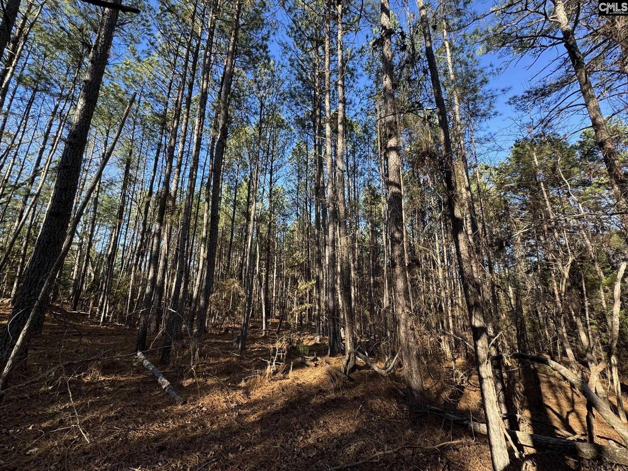Hwy 252 Laurens, SC 29360