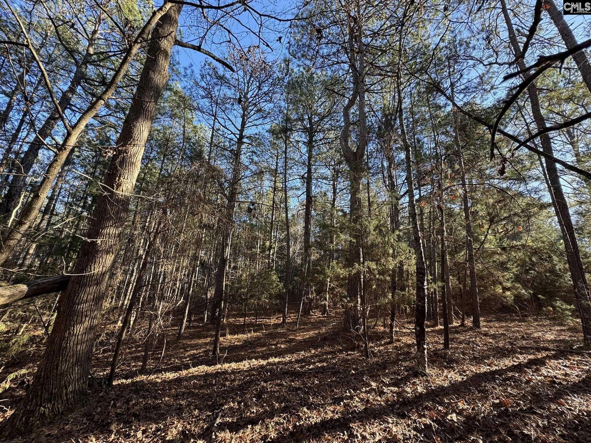 Hwy 252 Laurens, SC 29360