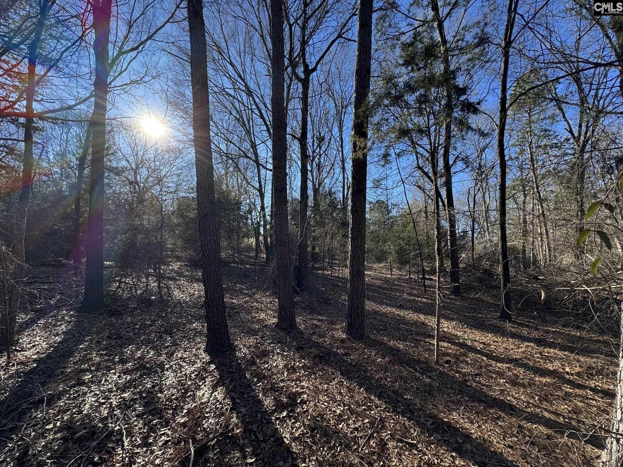 Hwy 252 Laurens, SC 29360