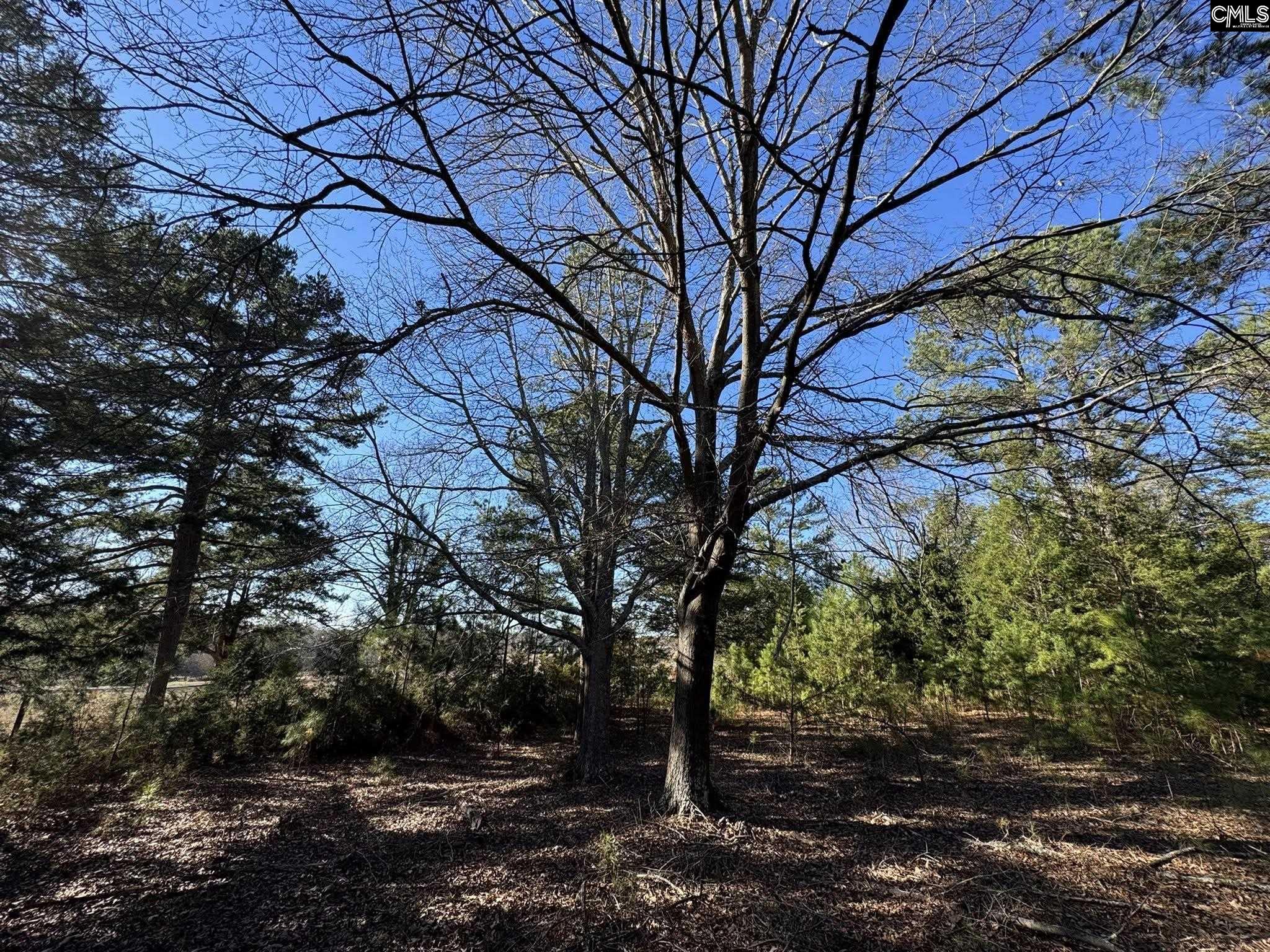Hwy 252 Laurens, SC 29360