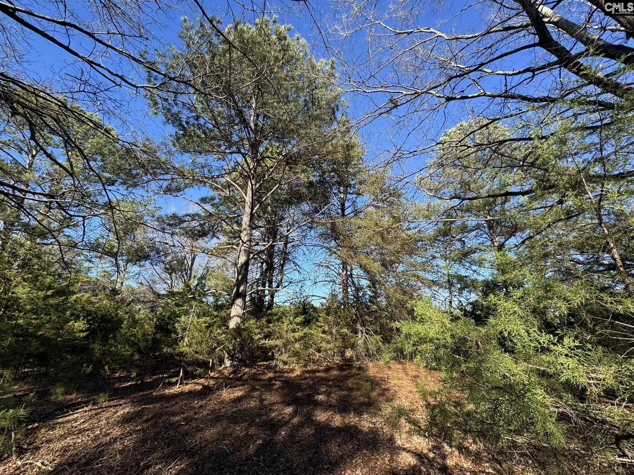 Hwy 252 Laurens, SC 29360