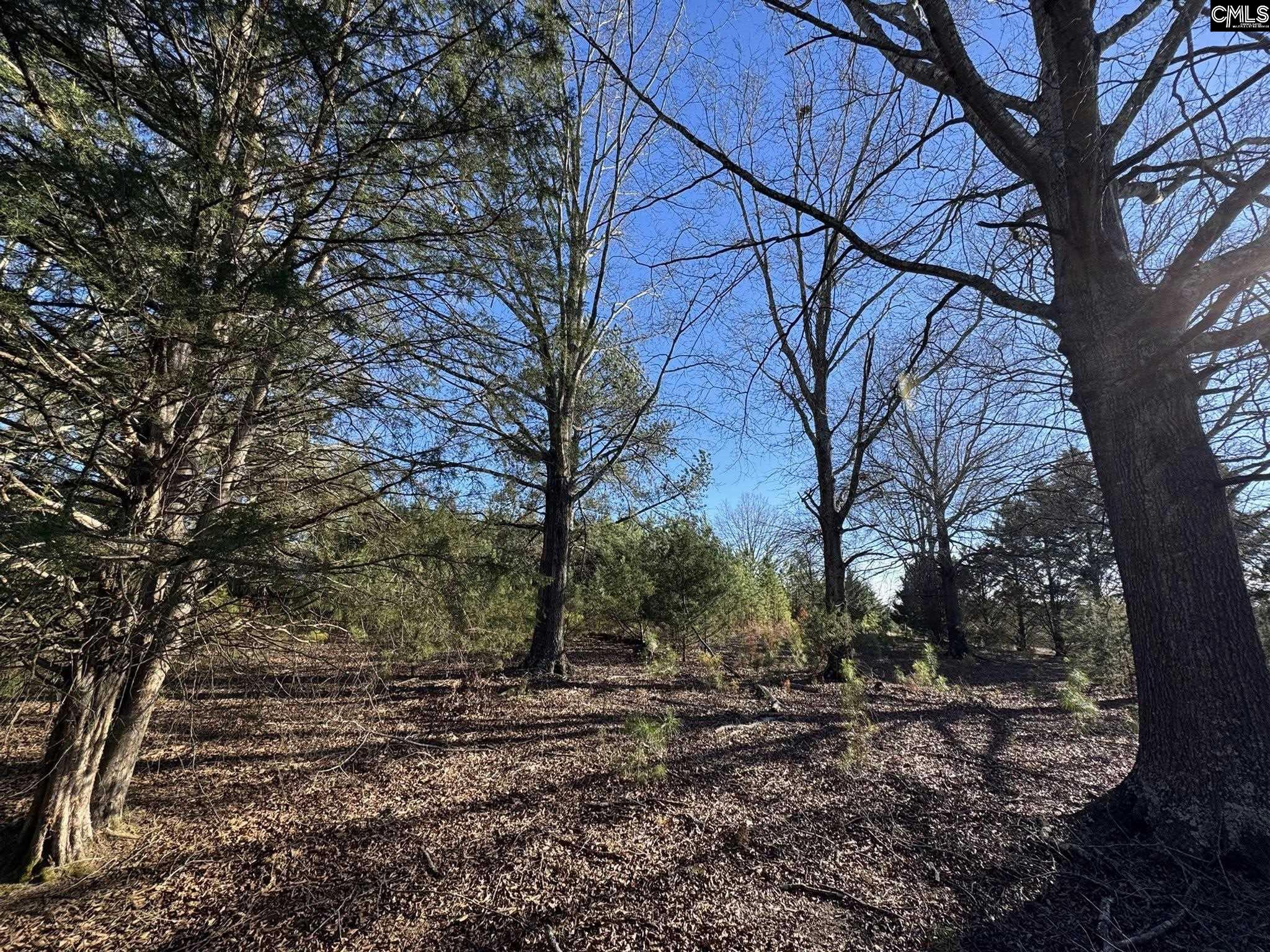 Hwy 252 Laurens, SC 29360