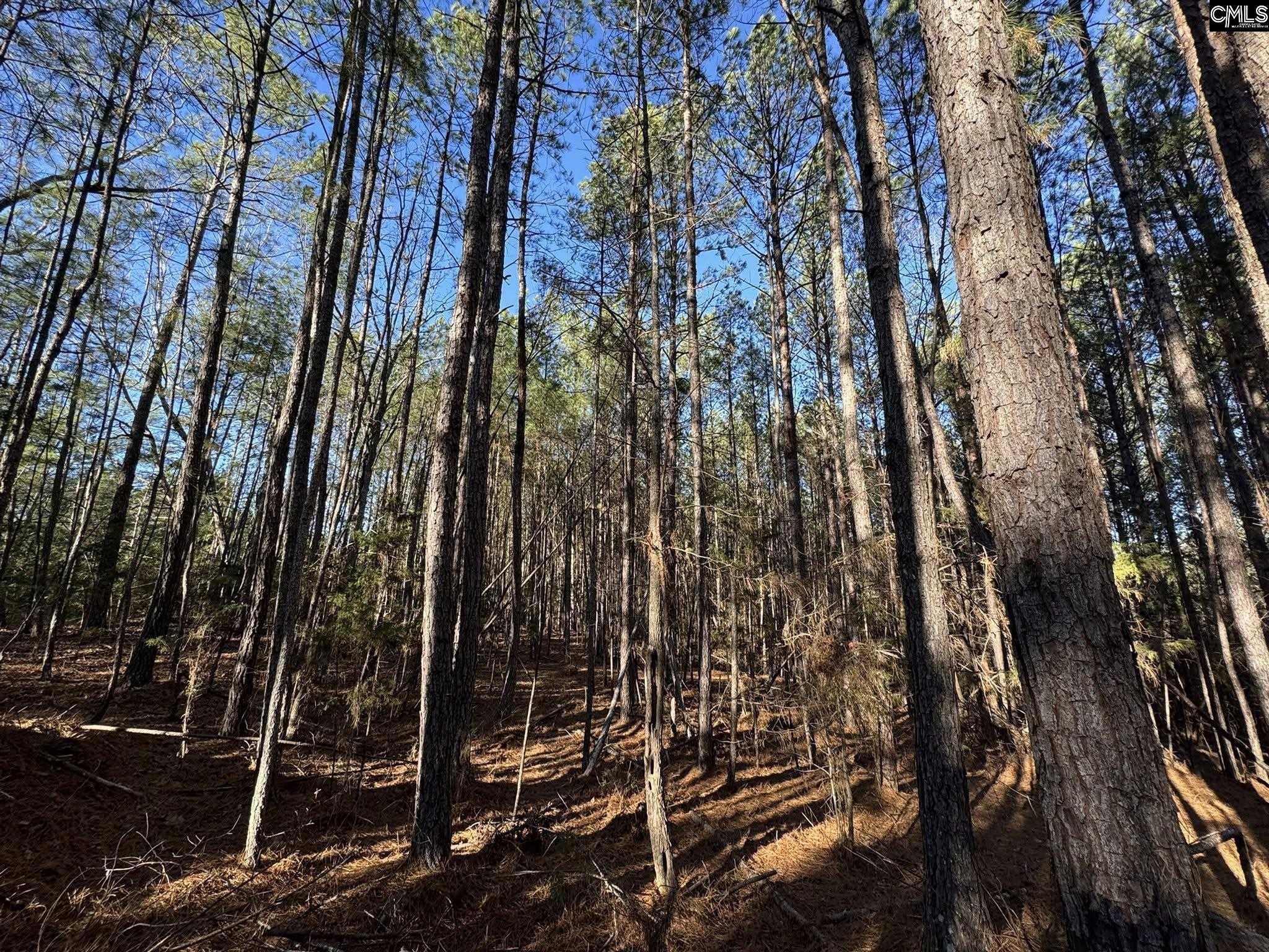 Hwy 252 Laurens, SC 29360