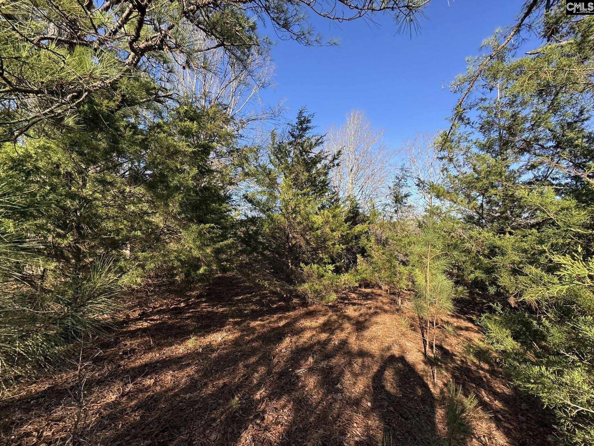 Hwy 252 Laurens, SC 29360