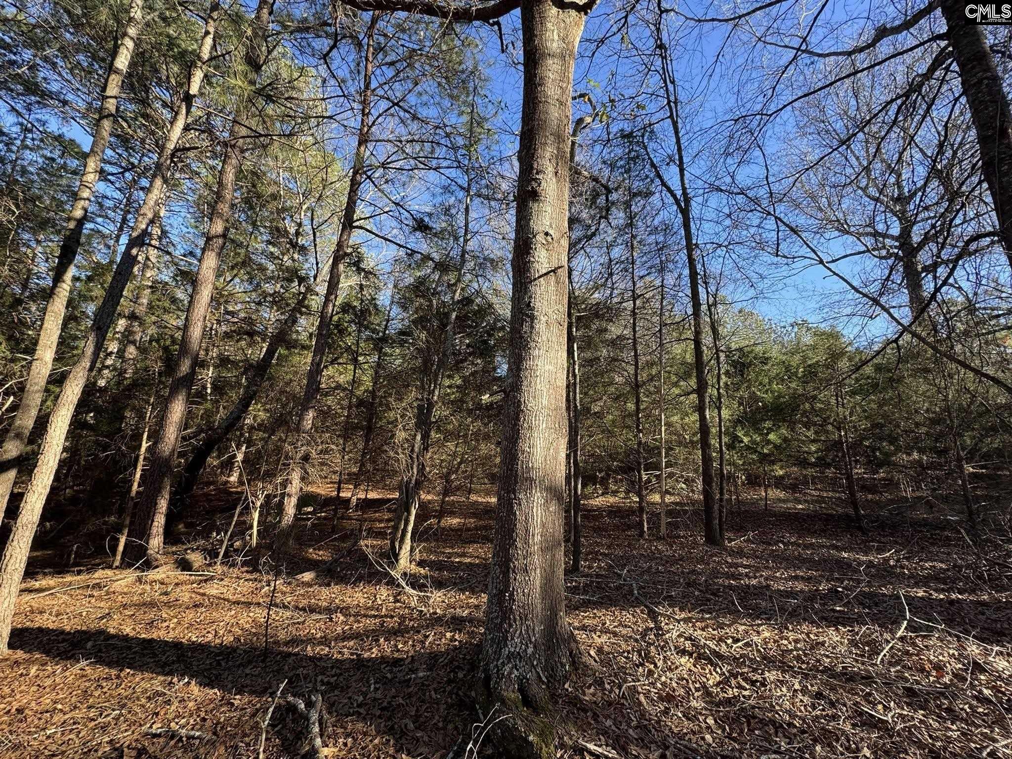 Hwy 252 Laurens, SC 29360