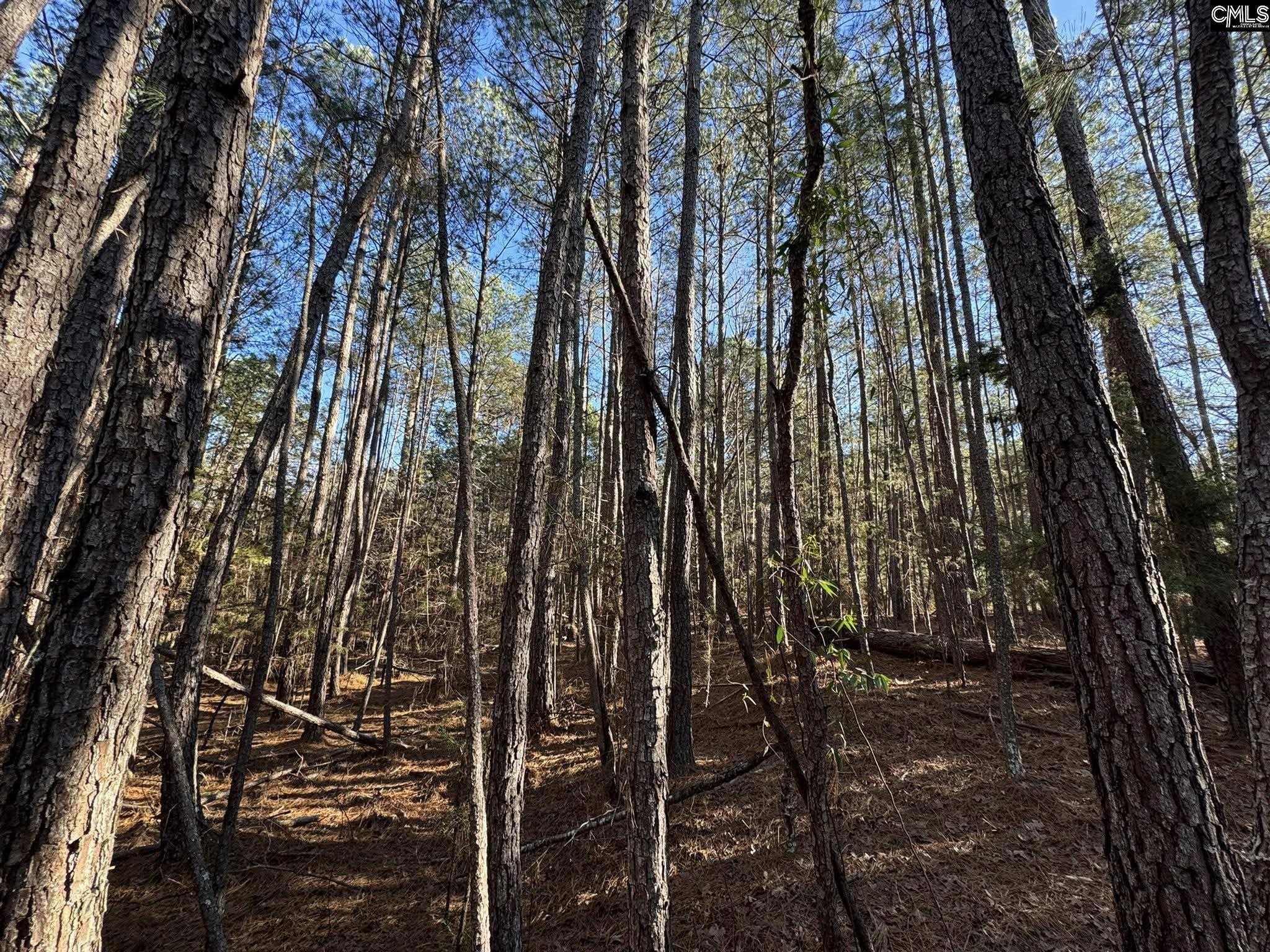 Hwy 252 Laurens, SC 29360