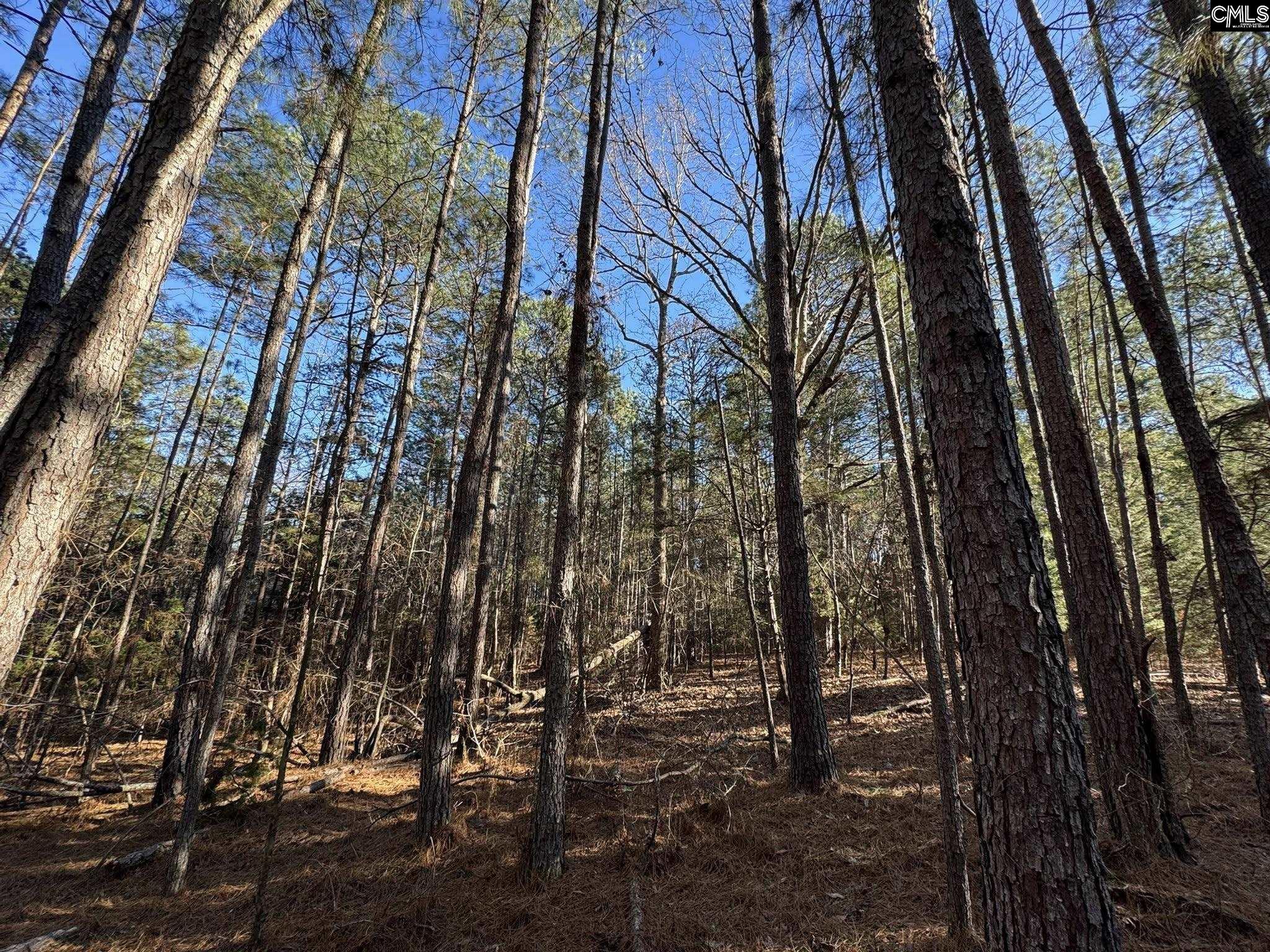 Hwy 252 Laurens, SC 29360