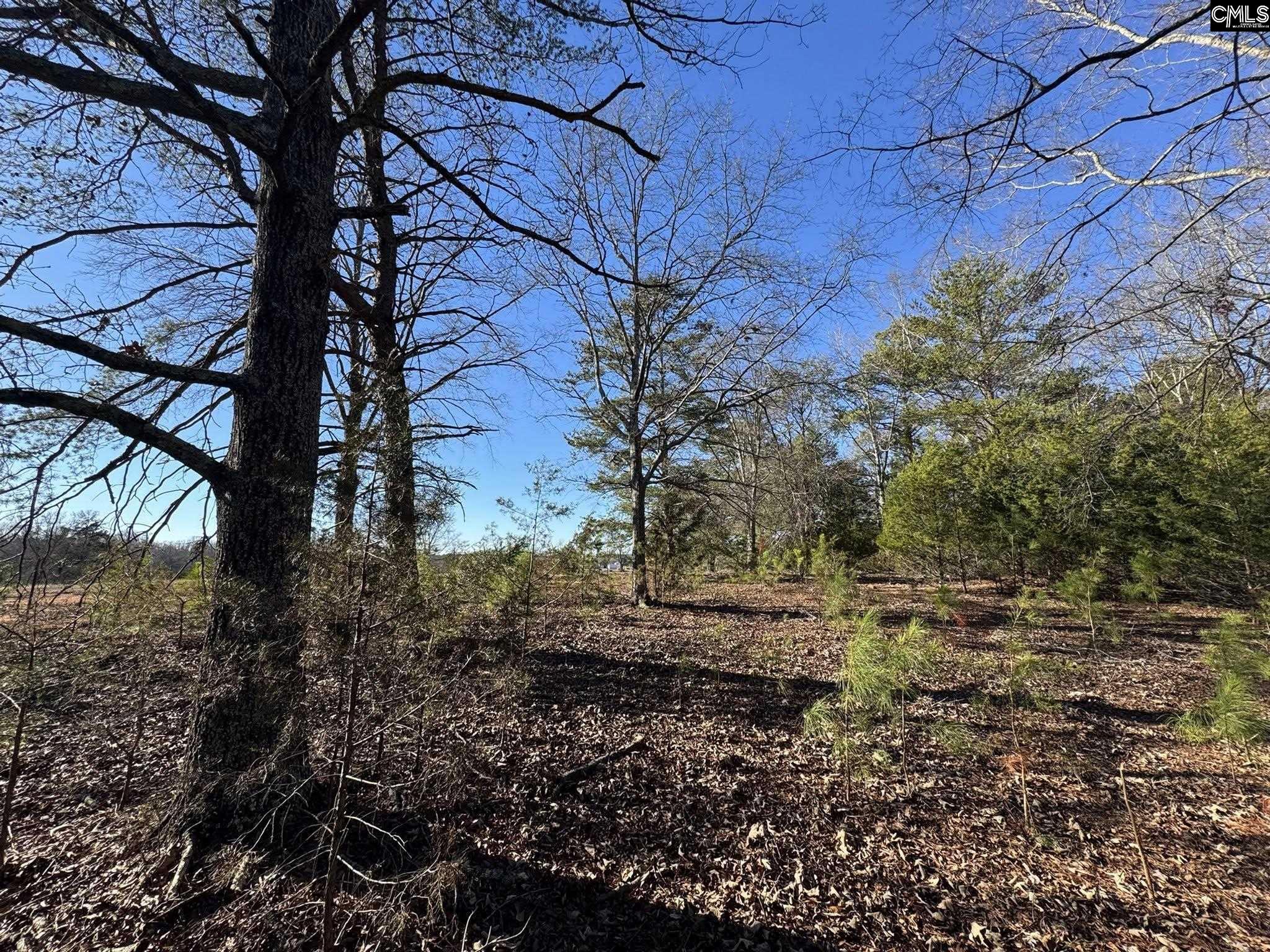 Hwy 252 Laurens, SC 29360