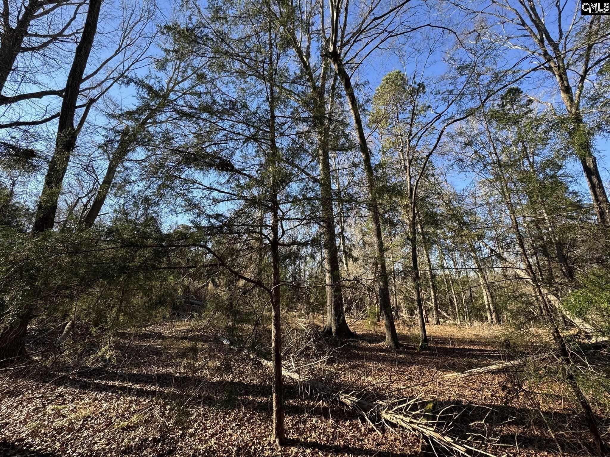 Hwy 252 Laurens, SC 29360