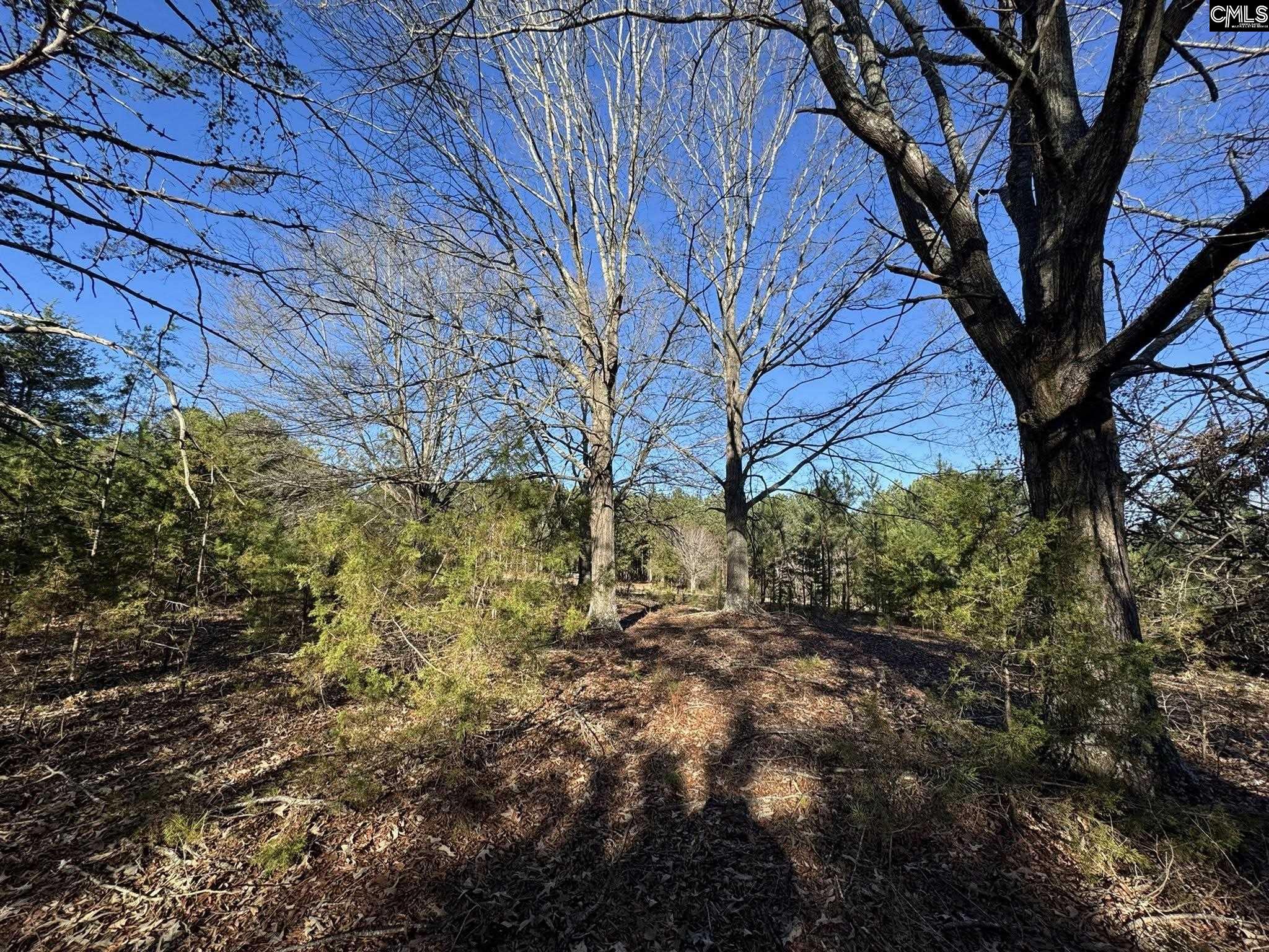 Hwy 252 Laurens, SC 29360