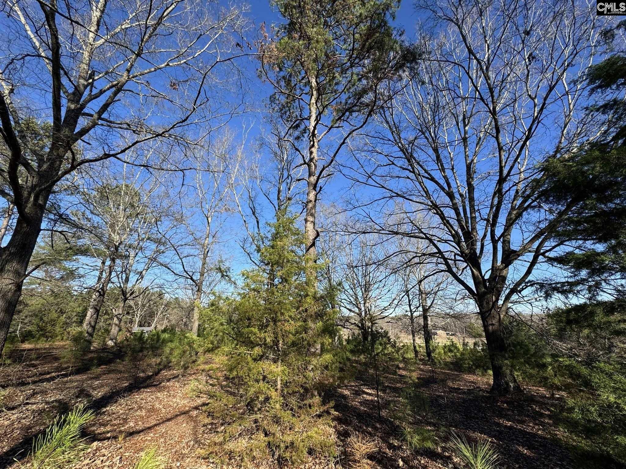 Hwy 252 Laurens, SC 29360