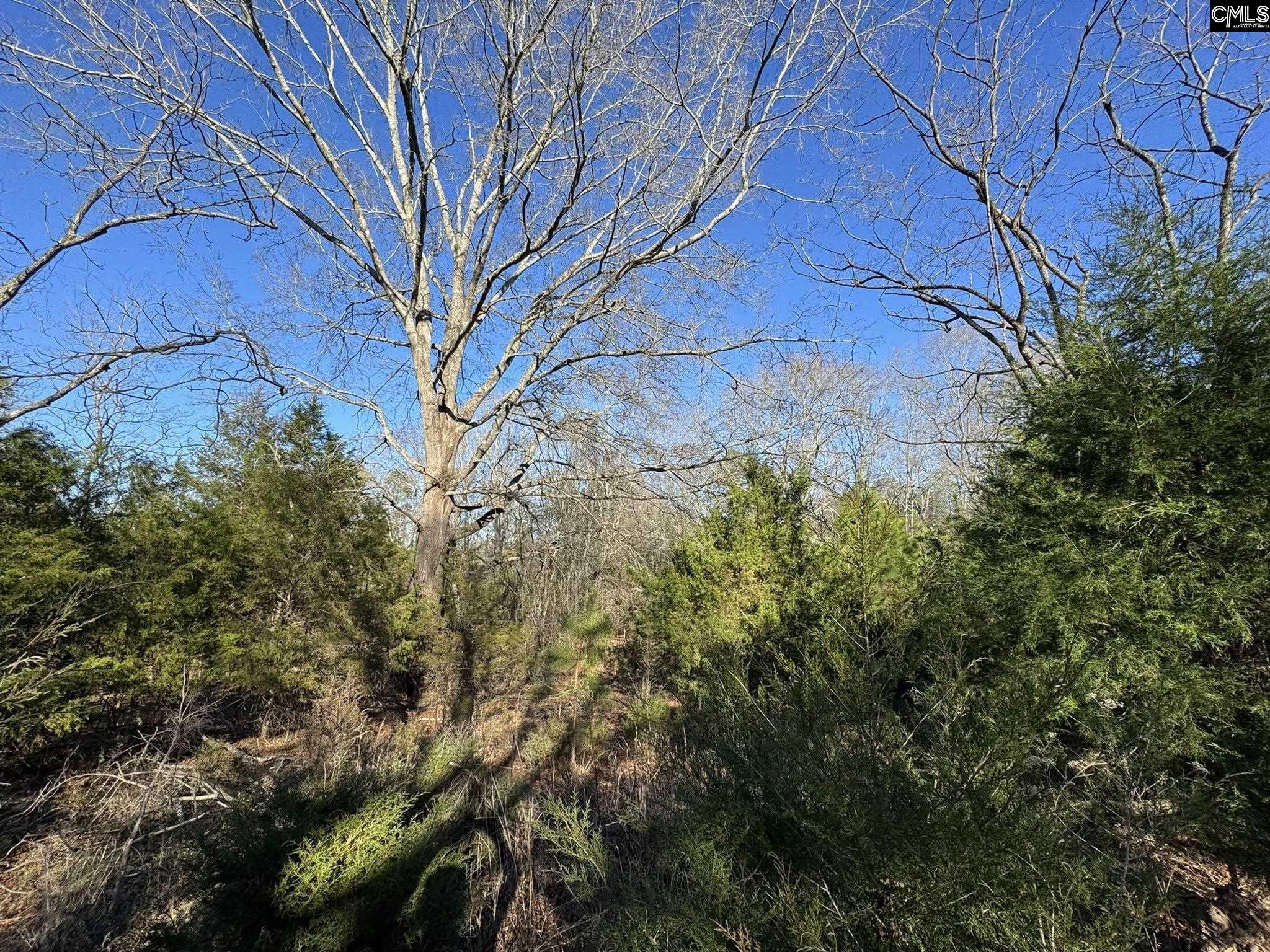 Hwy 252 Laurens, SC 29360