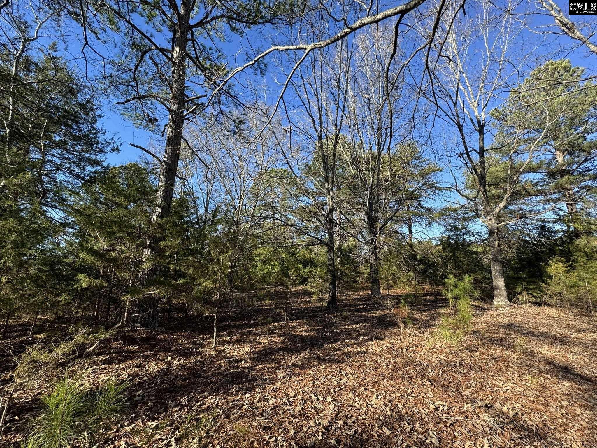 Hwy 252 Laurens, SC 29360