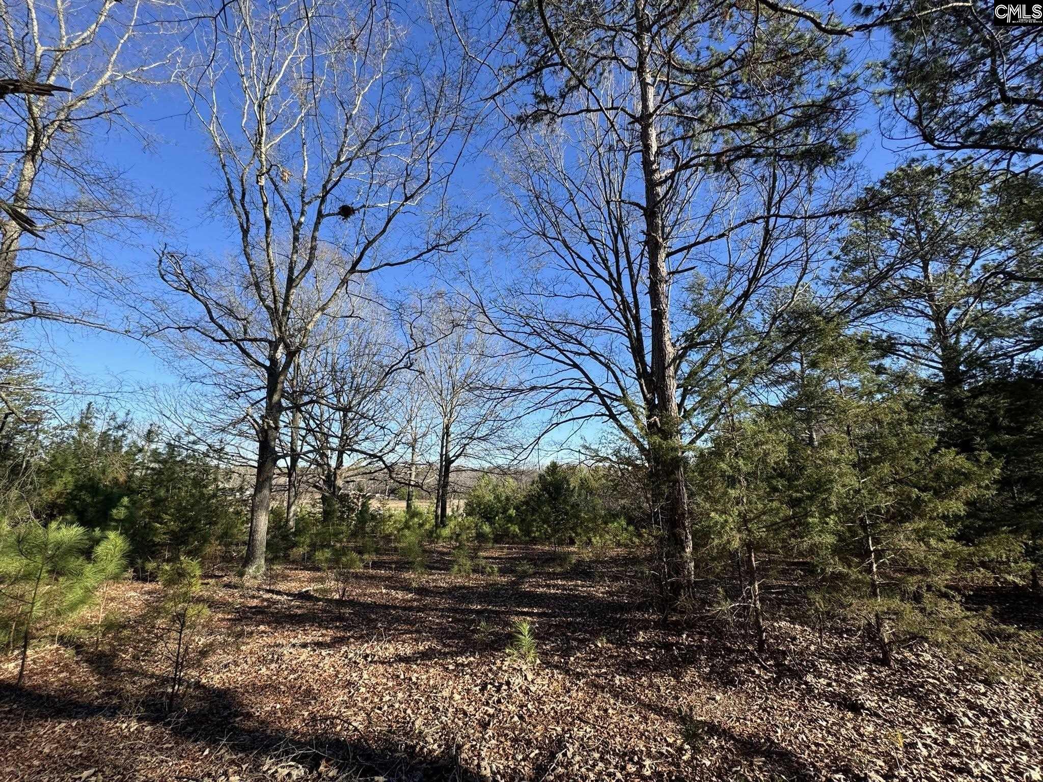 Hwy 252 Laurens, SC 29360