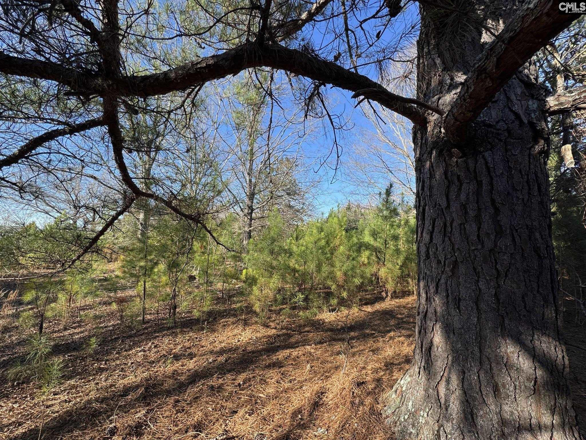 Hwy 252 Laurens, SC 29360