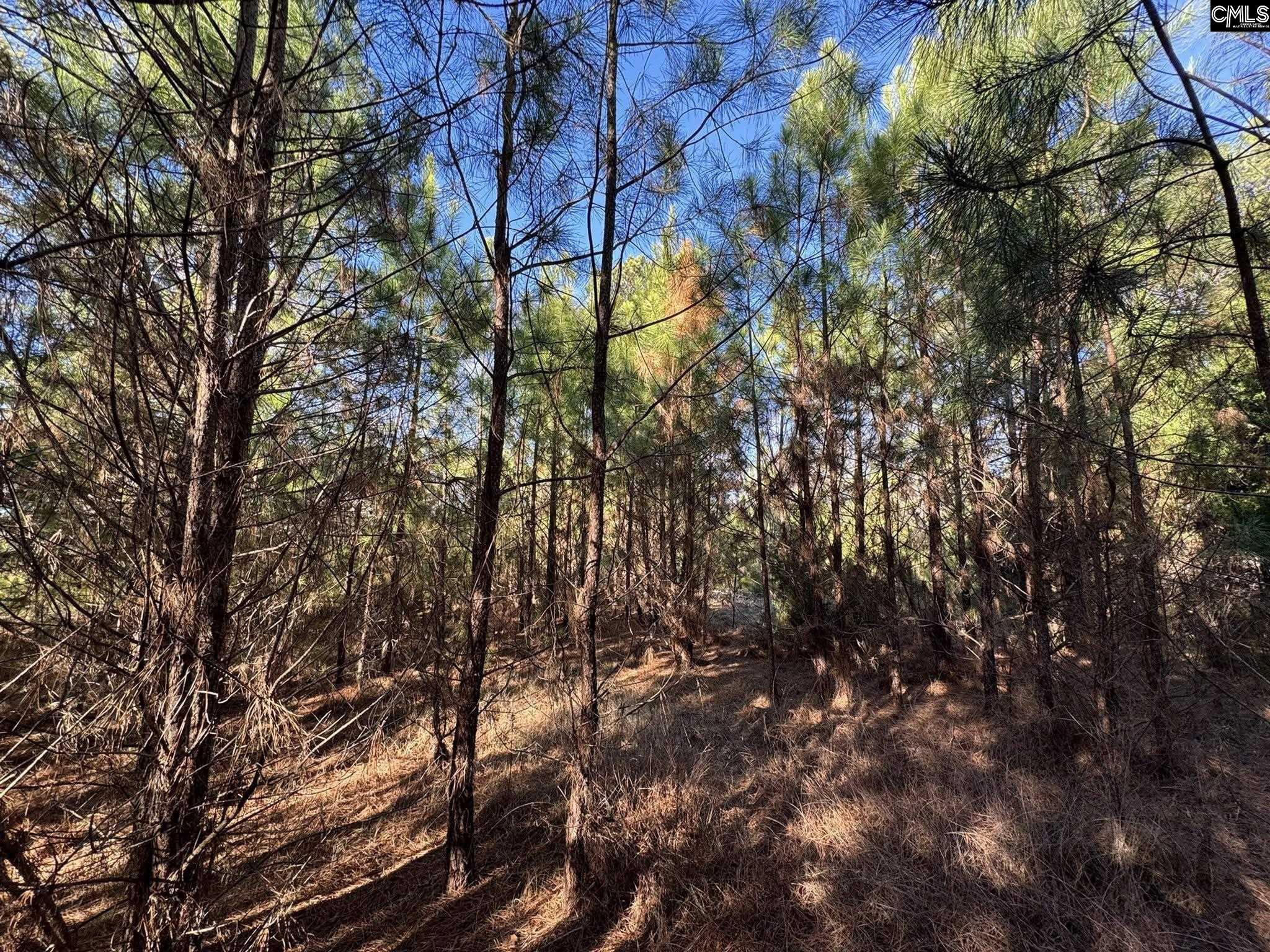 Hwy 252 Laurens, SC 29360