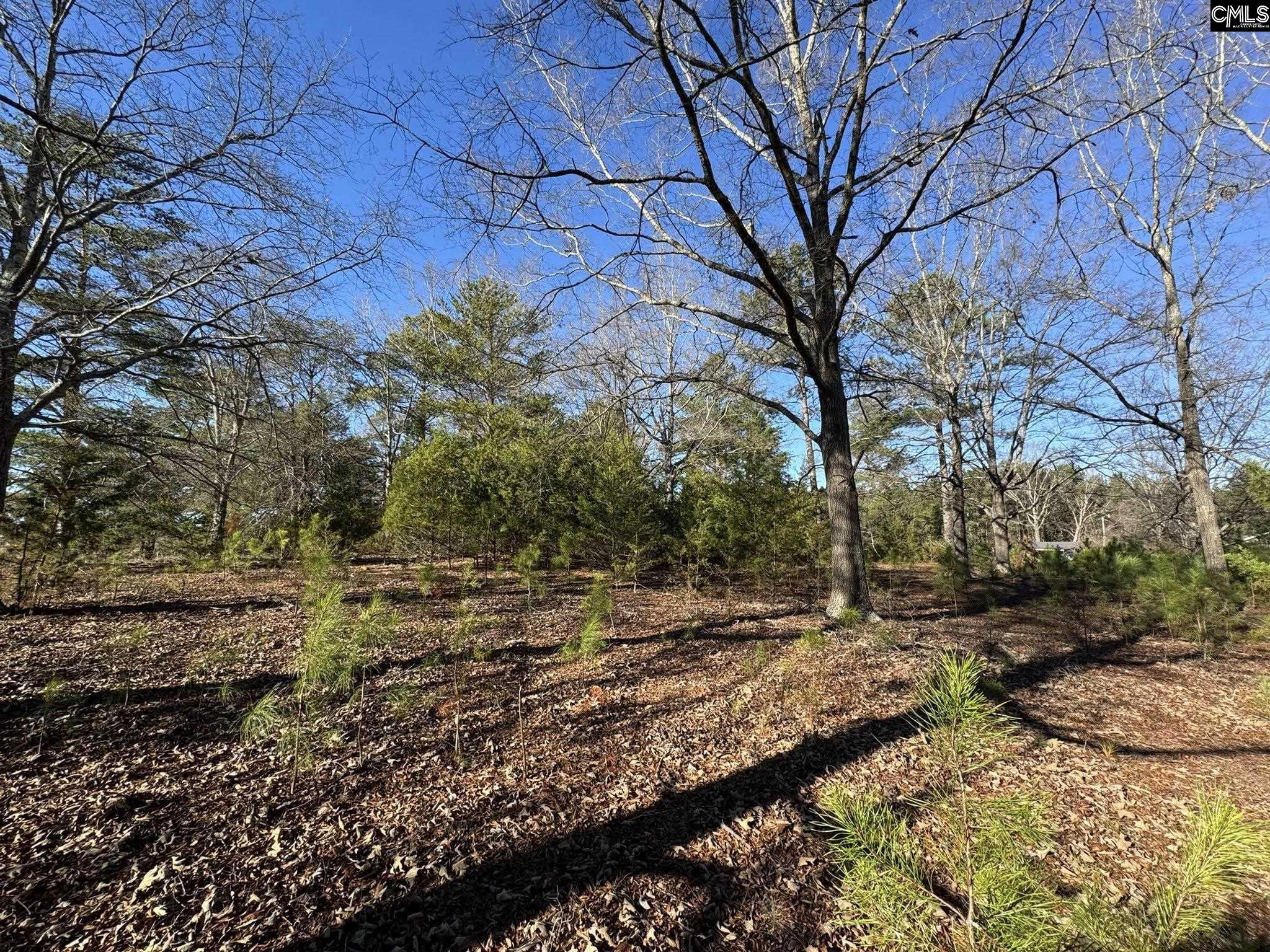 Hwy 252 Laurens, SC 29360