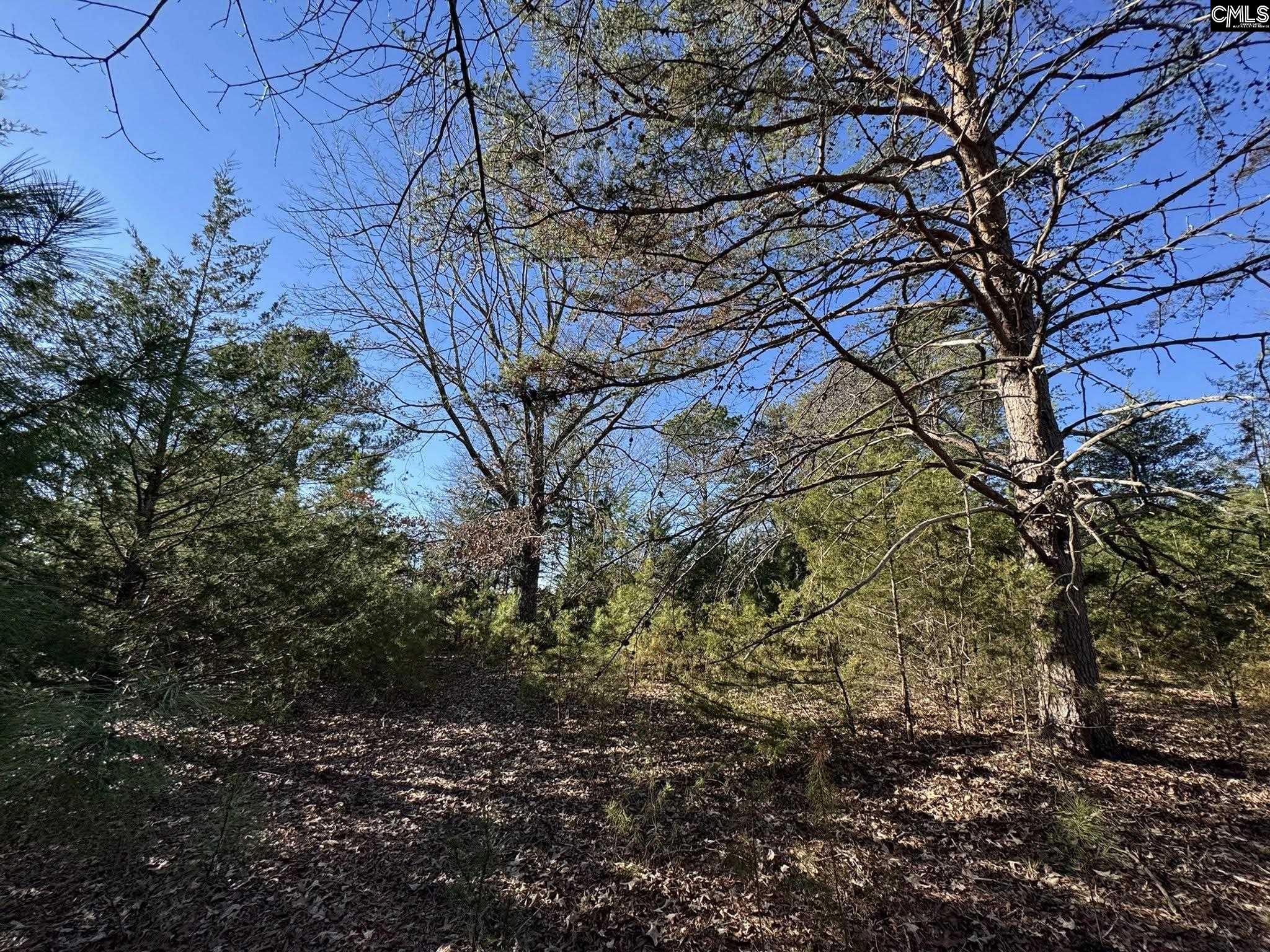 Hwy 252 Laurens, SC 29360