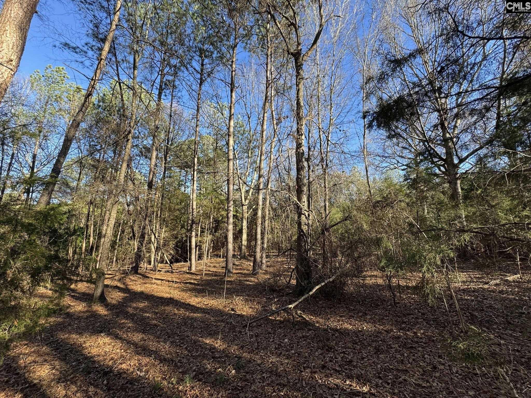 Hwy 252 Laurens, SC 29360