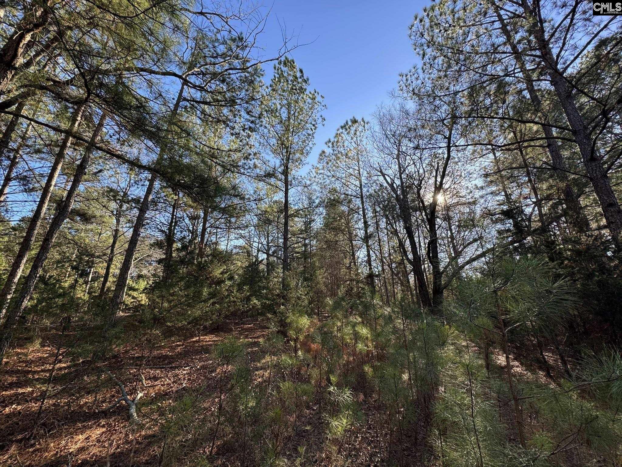 Hwy 252 Laurens, SC 29360