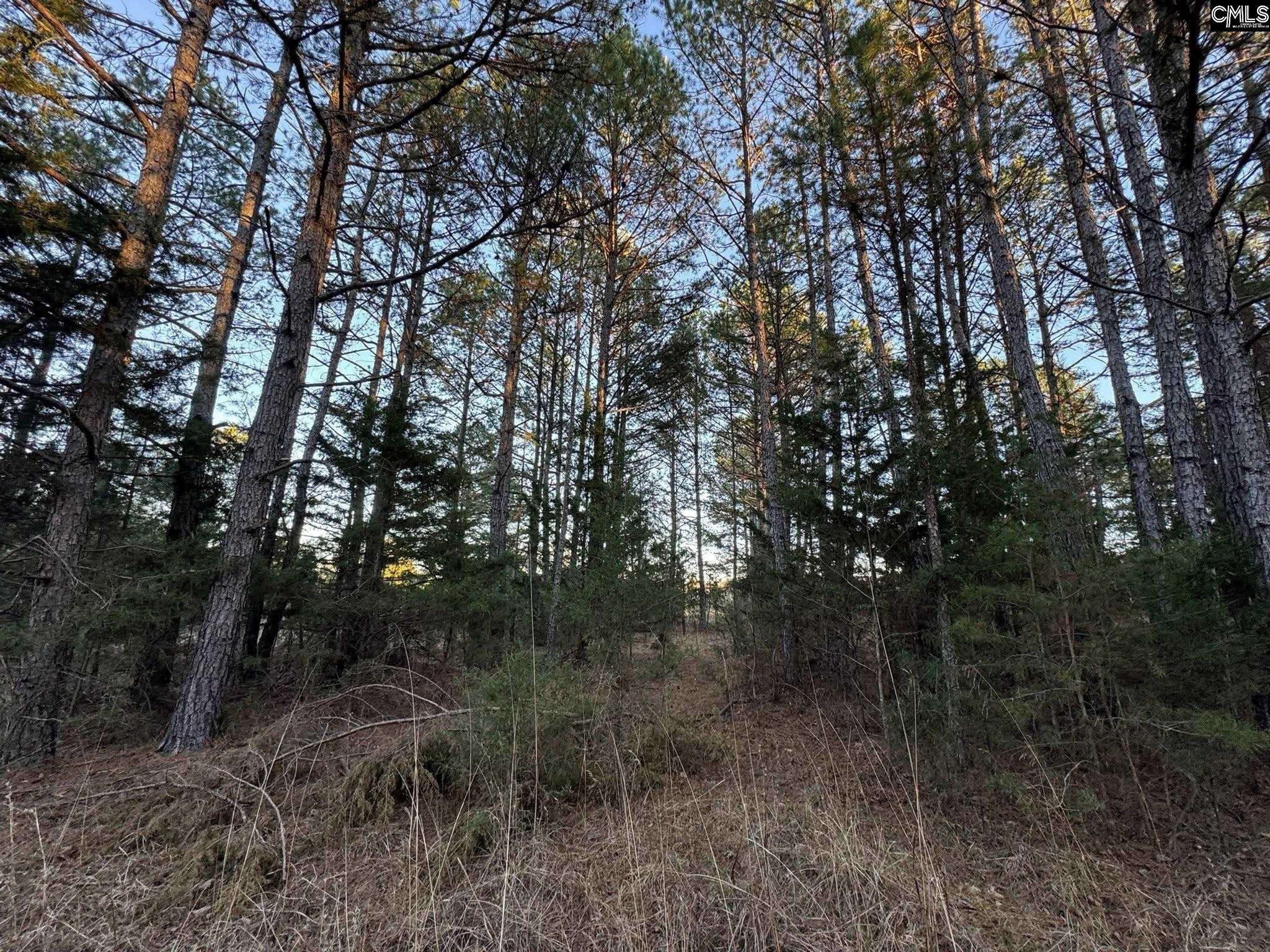 150 Floyd Lanford Road Woodruff, SC 29388