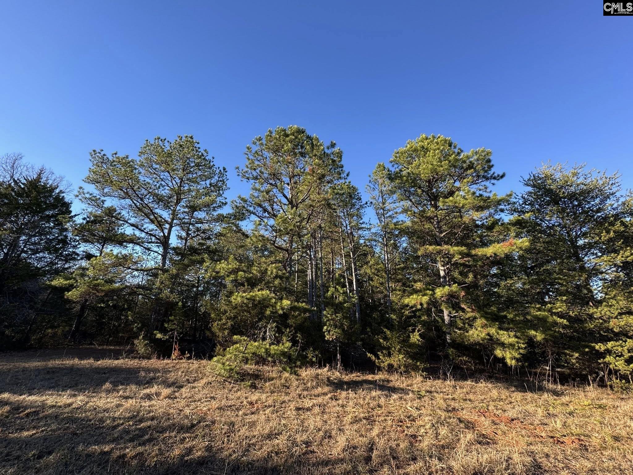 150 Floyd Lanford Road Woodruff, SC 29388