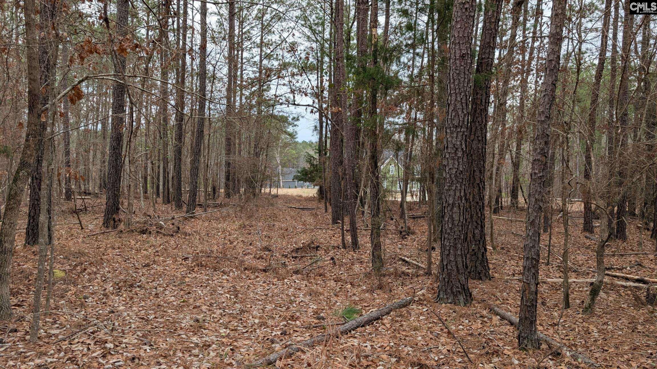 Lot 2 Retreat Way UNIT #2 Ridgeway, SC 29130-0000