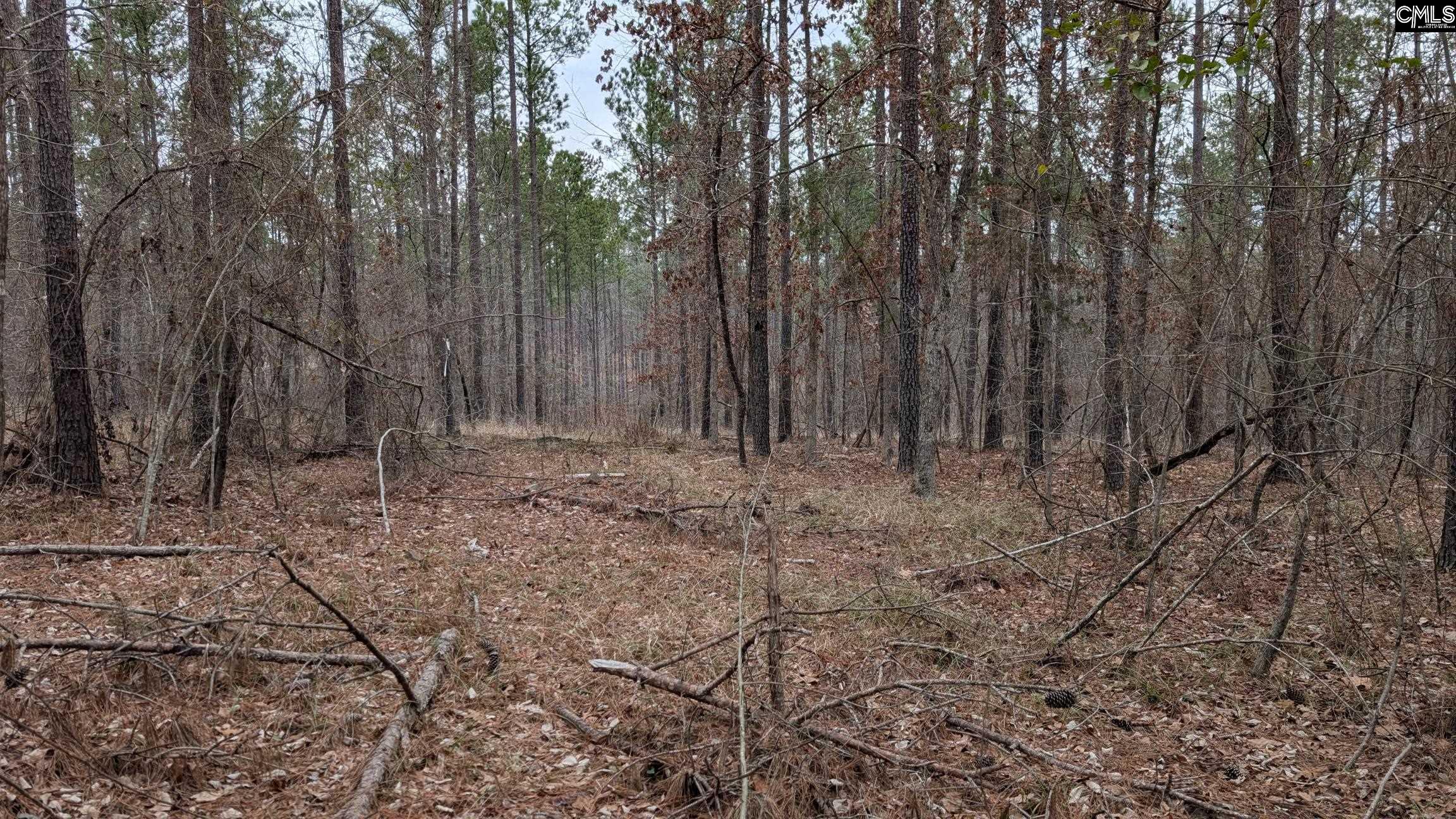 Lot 2 Retreat Way UNIT #2 Ridgeway, SC 29130-0000