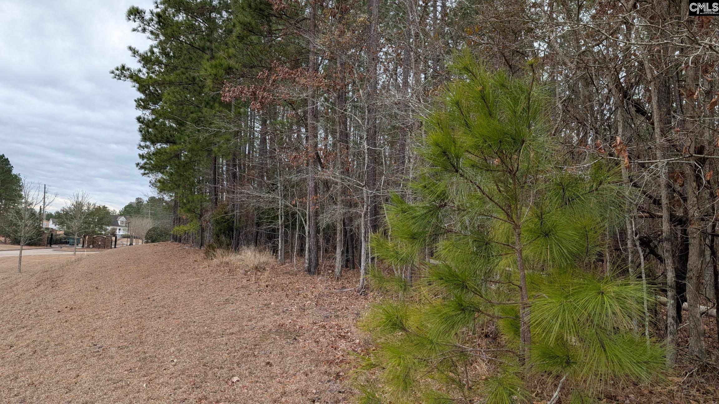 Lot 2 Retreat Way UNIT #2 Ridgeway, SC 29130-0000