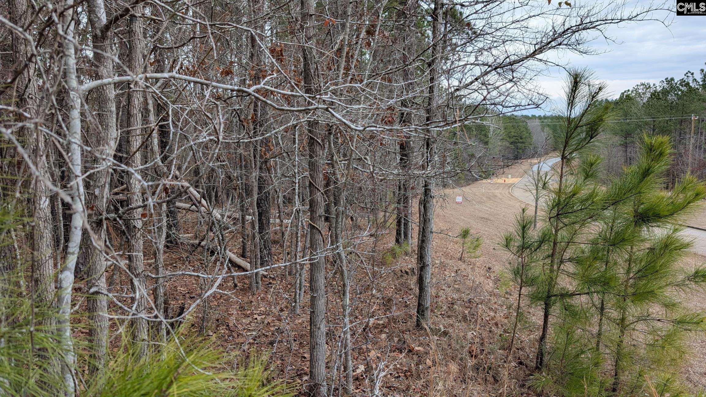 Lot 2 Retreat Way UNIT #2 Ridgeway, SC 29130-0000