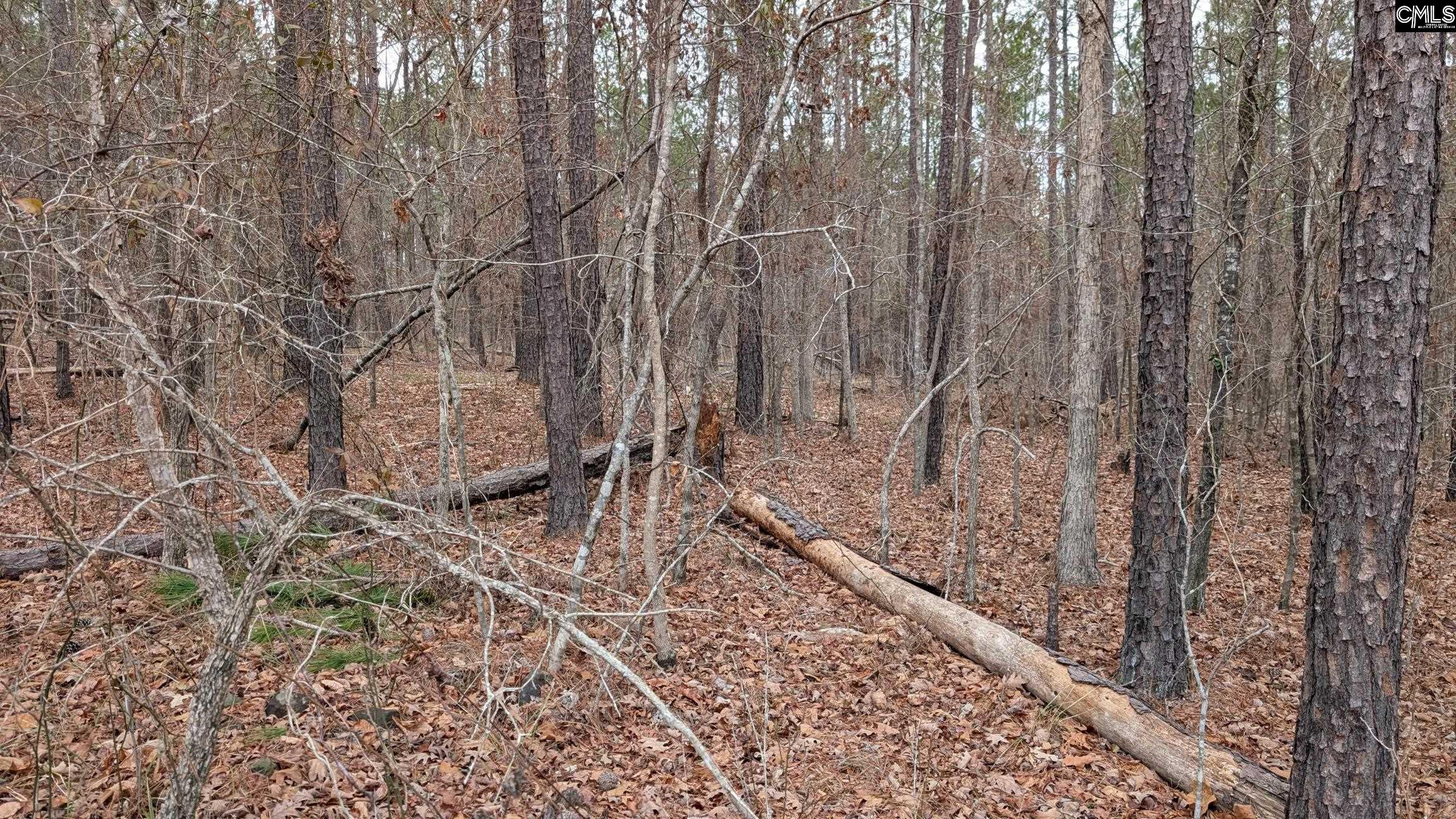Lot 2 Retreat Way UNIT #2 Ridgeway, SC 29130-0000