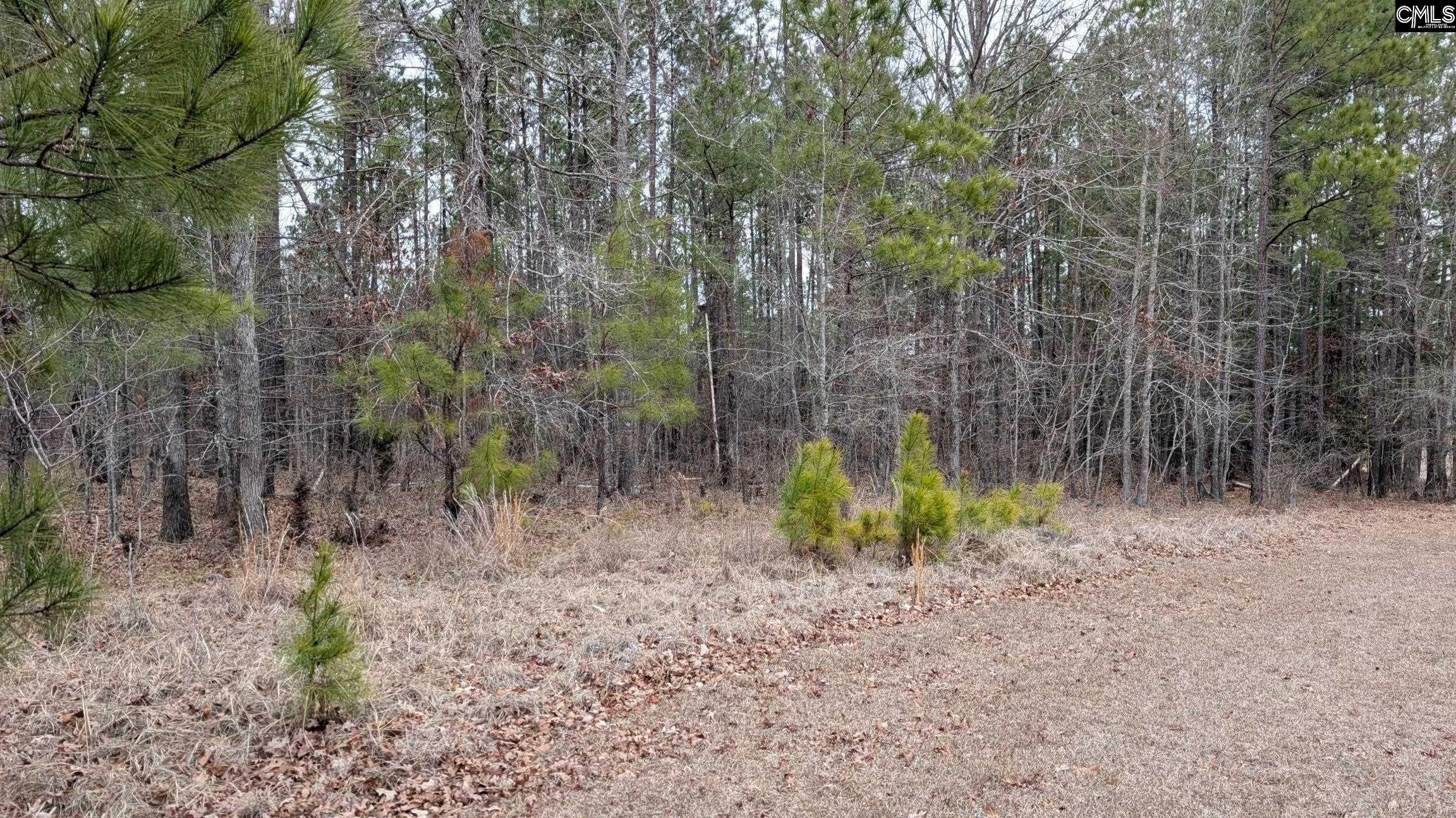 Lot 2 Retreat Way UNIT #2 Ridgeway, SC 29130-0000