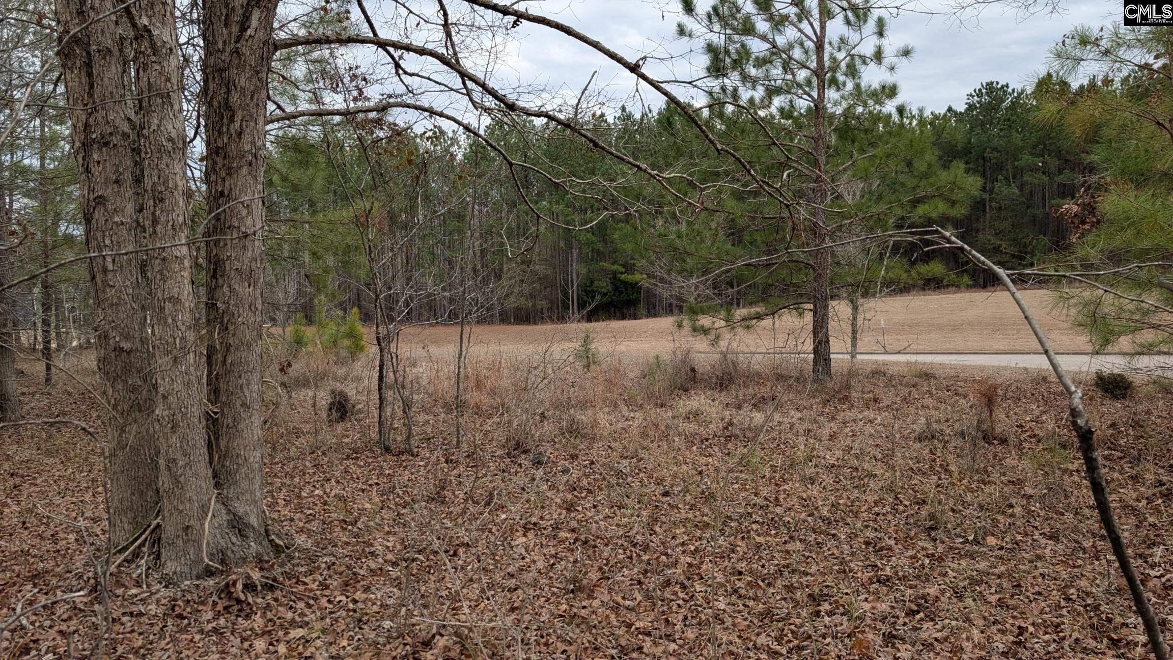 Lot 2 Retreat Way UNIT #2 Ridgeway, SC 29130-0000
