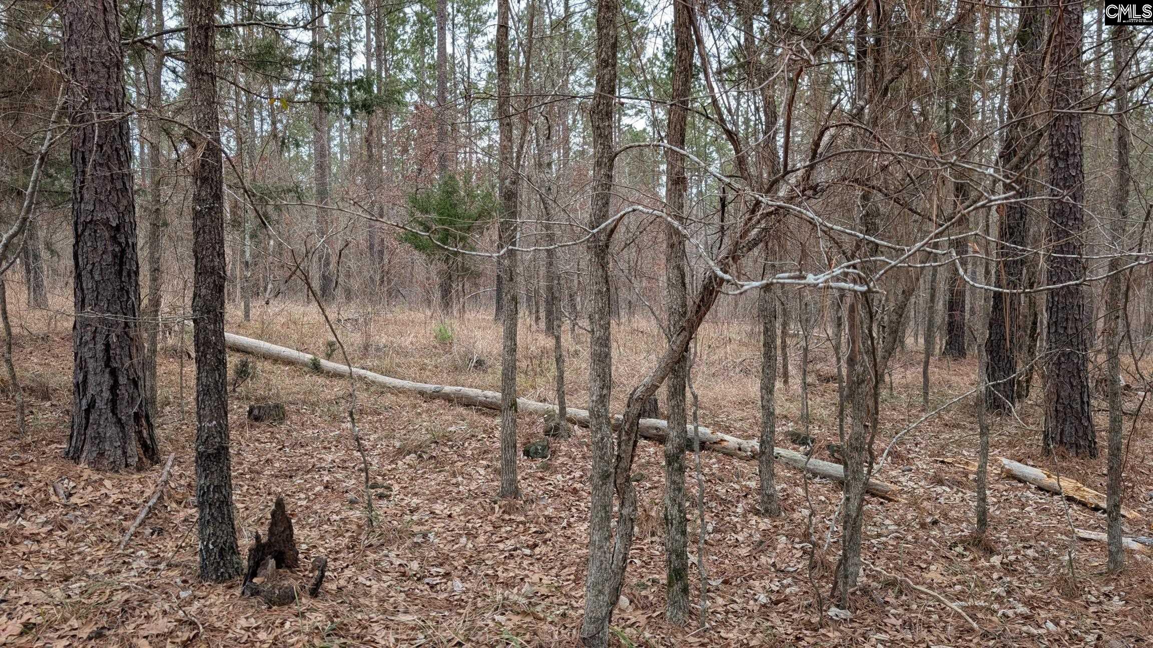 Lot 2 Retreat Way UNIT #2 Ridgeway, SC 29130-0000