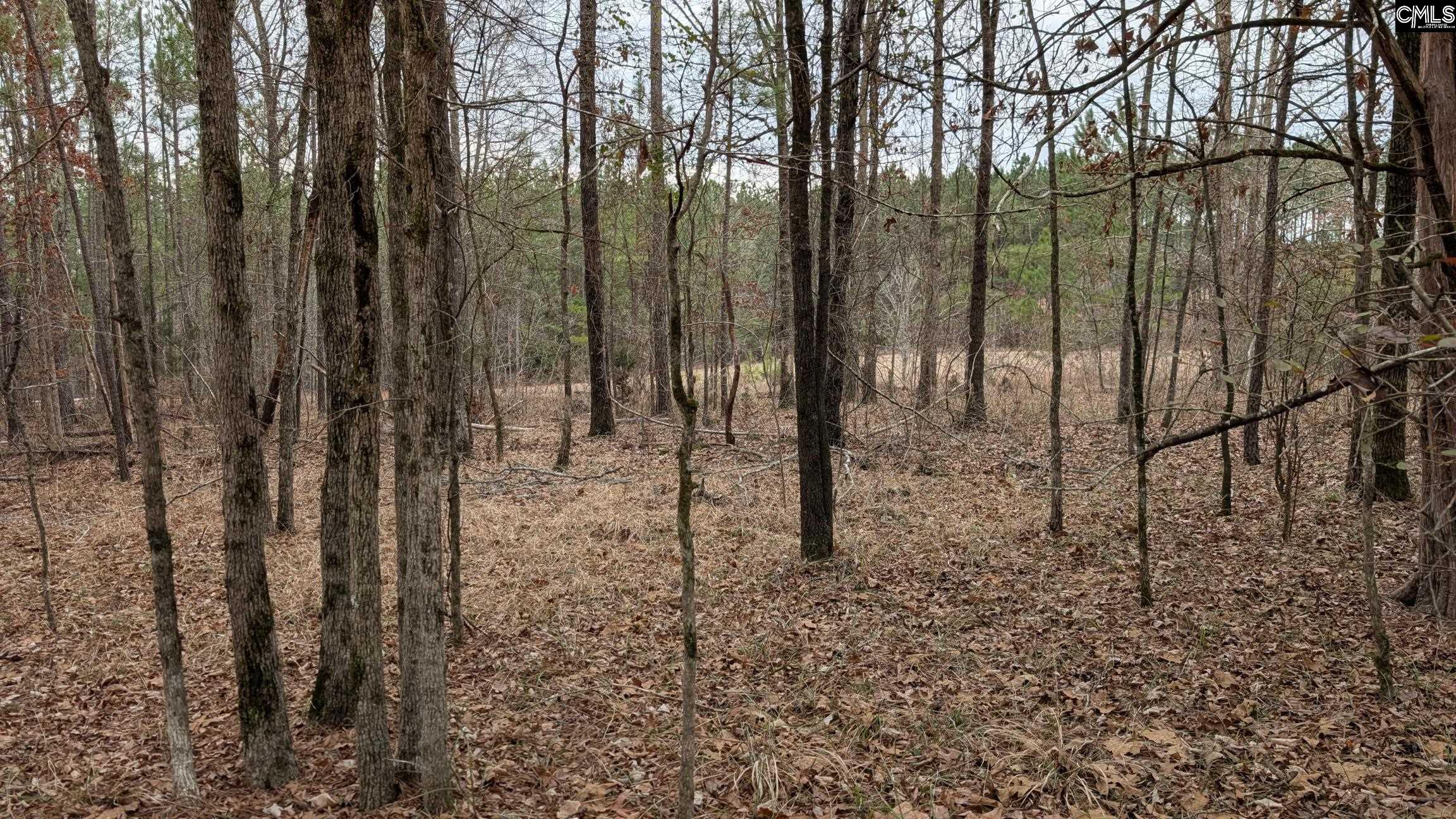 Lot 2 Retreat Way UNIT #2 Ridgeway, SC 29130-0000
