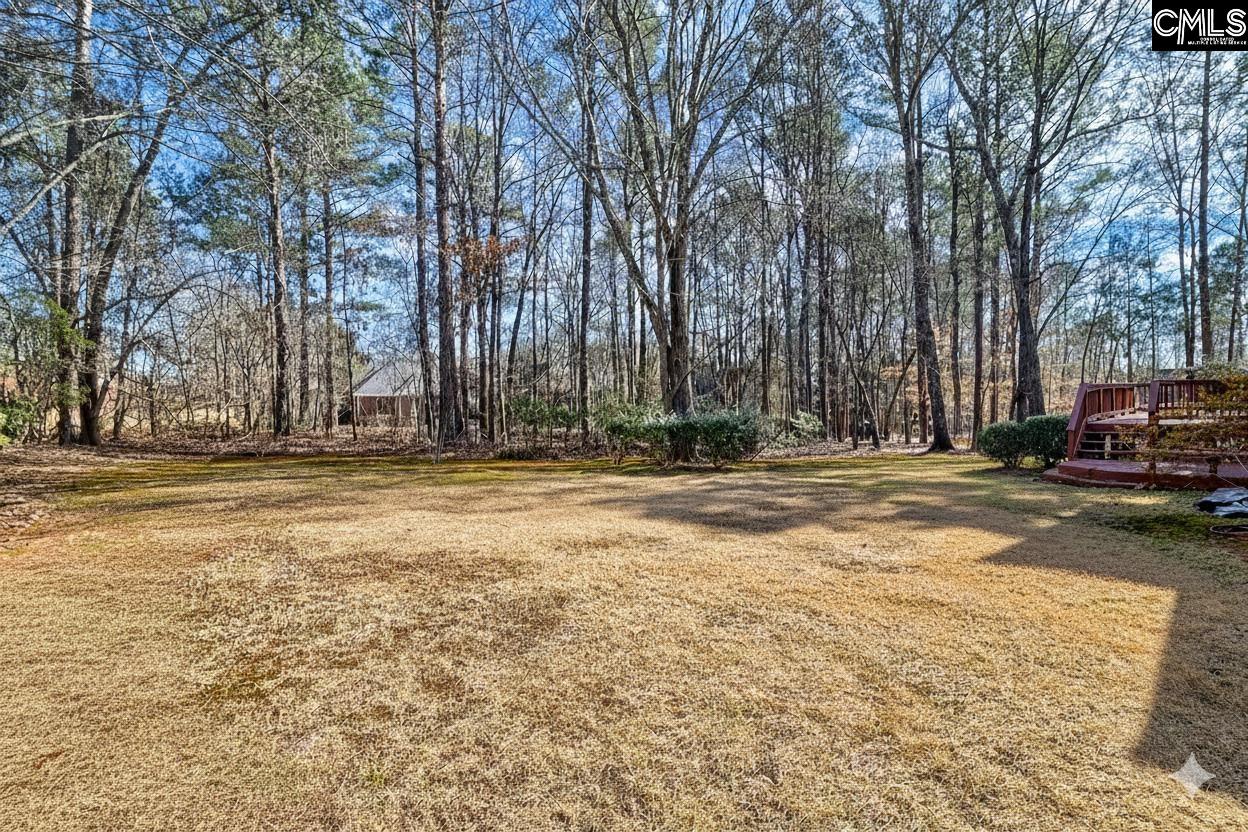 1009 Steeple Ridge Road Irmo, SC 29063