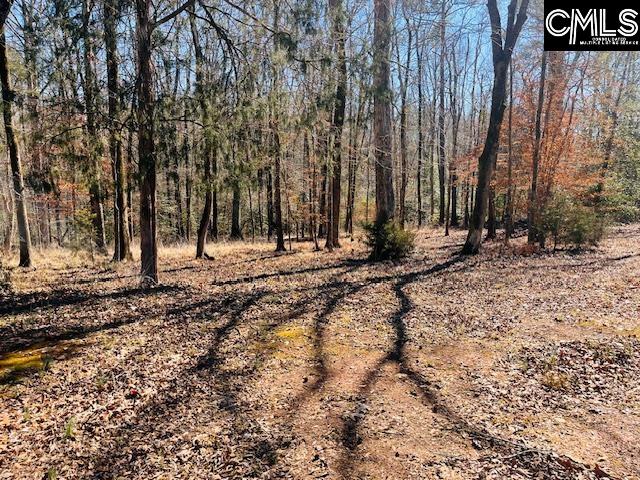 Maple Knoll Road UNIT #10 Prosperity, SC 29127-0000