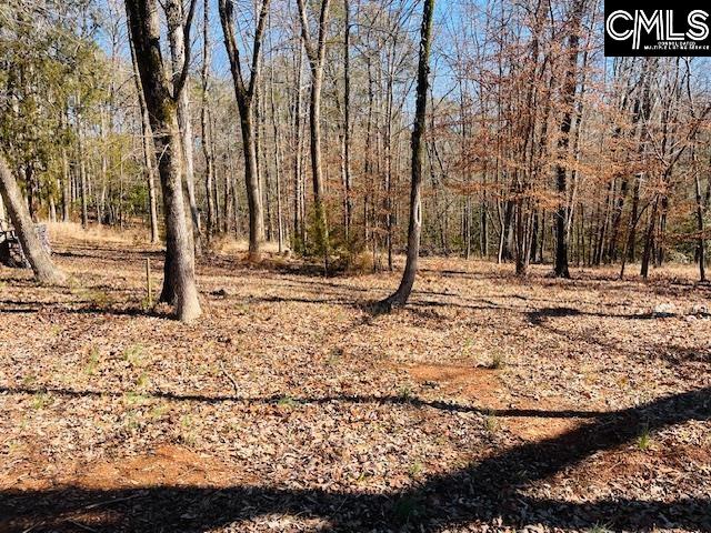 Maple Knoll Road UNIT #10 Prosperity, SC 29127-0000