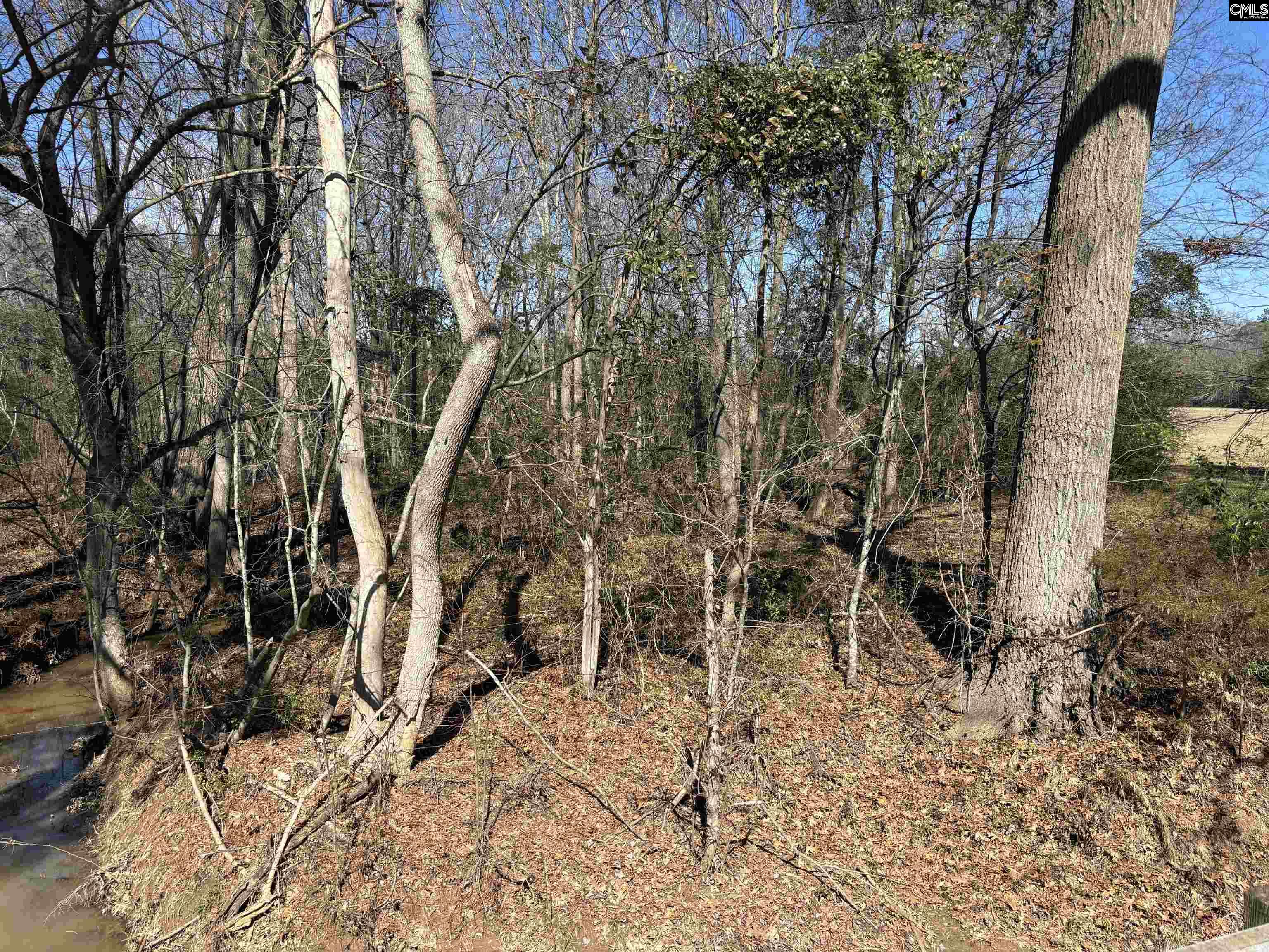 Bethany Road Saluda, SC 29138