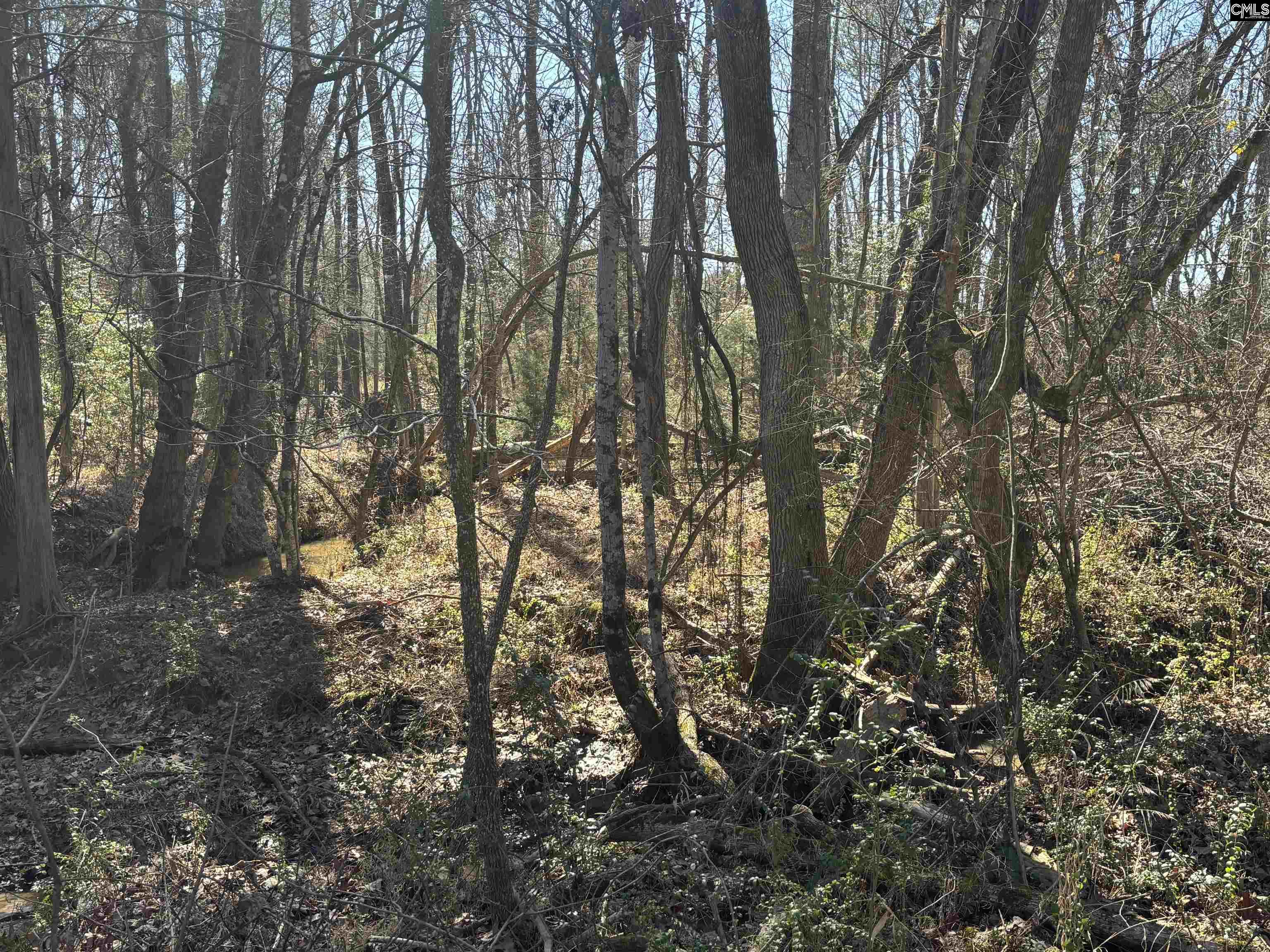 Bethany Road Saluda, SC 29138
