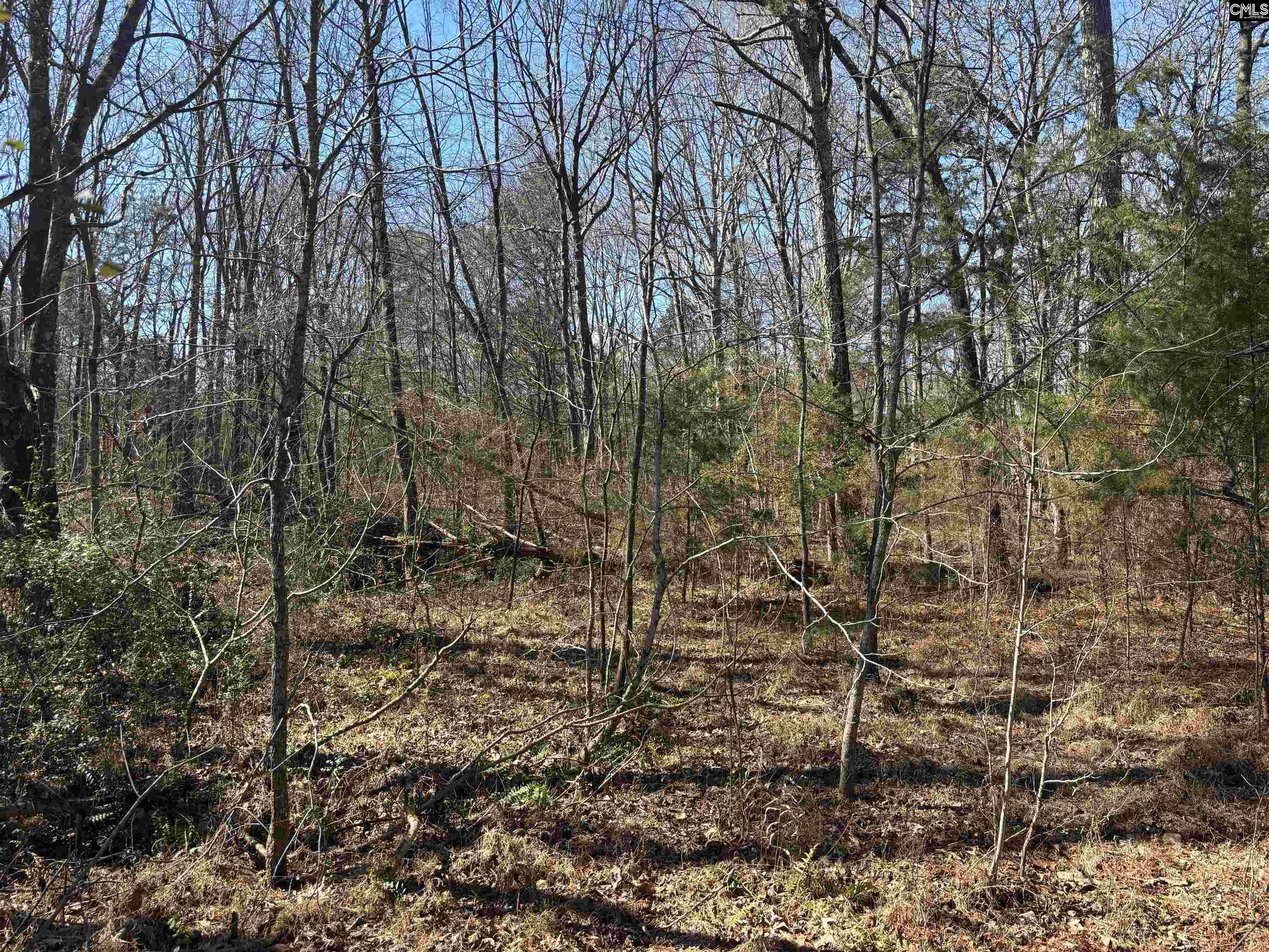 Bethany Road Saluda, SC 29138