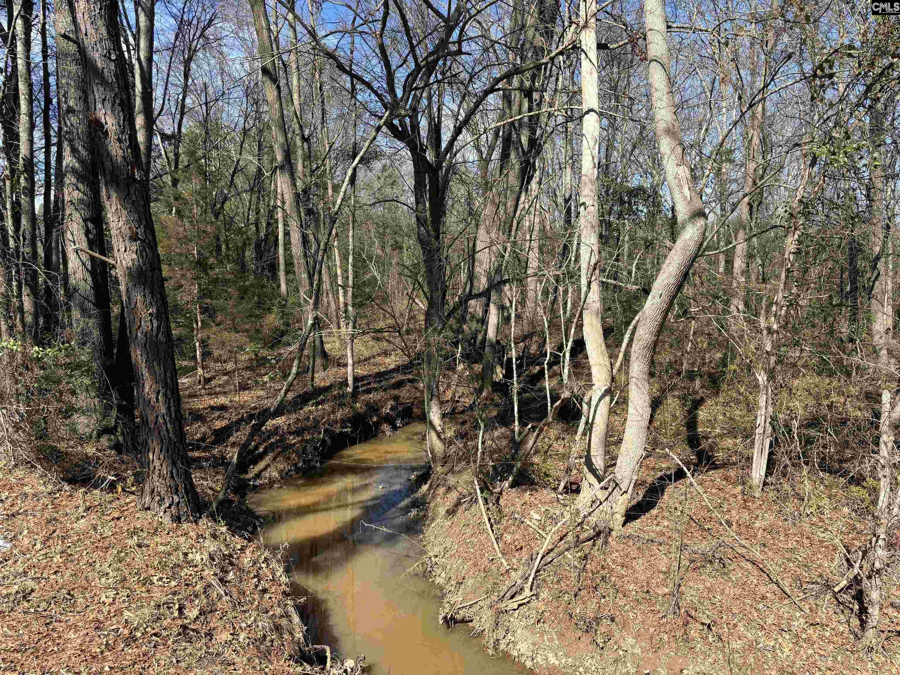 Bethany Road Saluda, SC 29138