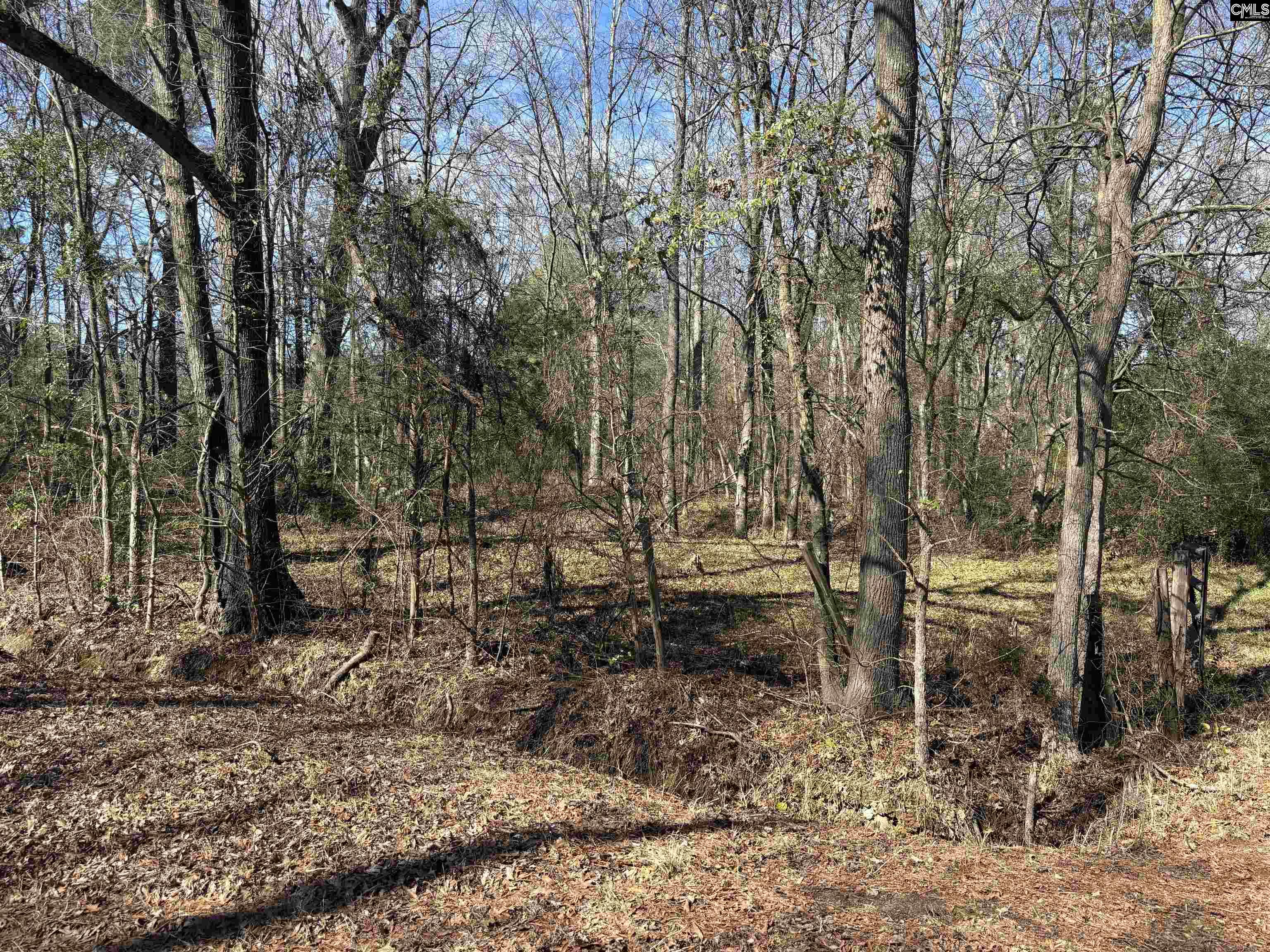 Bethany Road Saluda, SC 29138